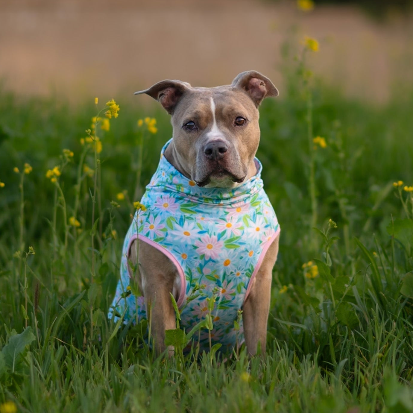 *Pre-order* Springtime Snuggle Blooms Muscle Tee