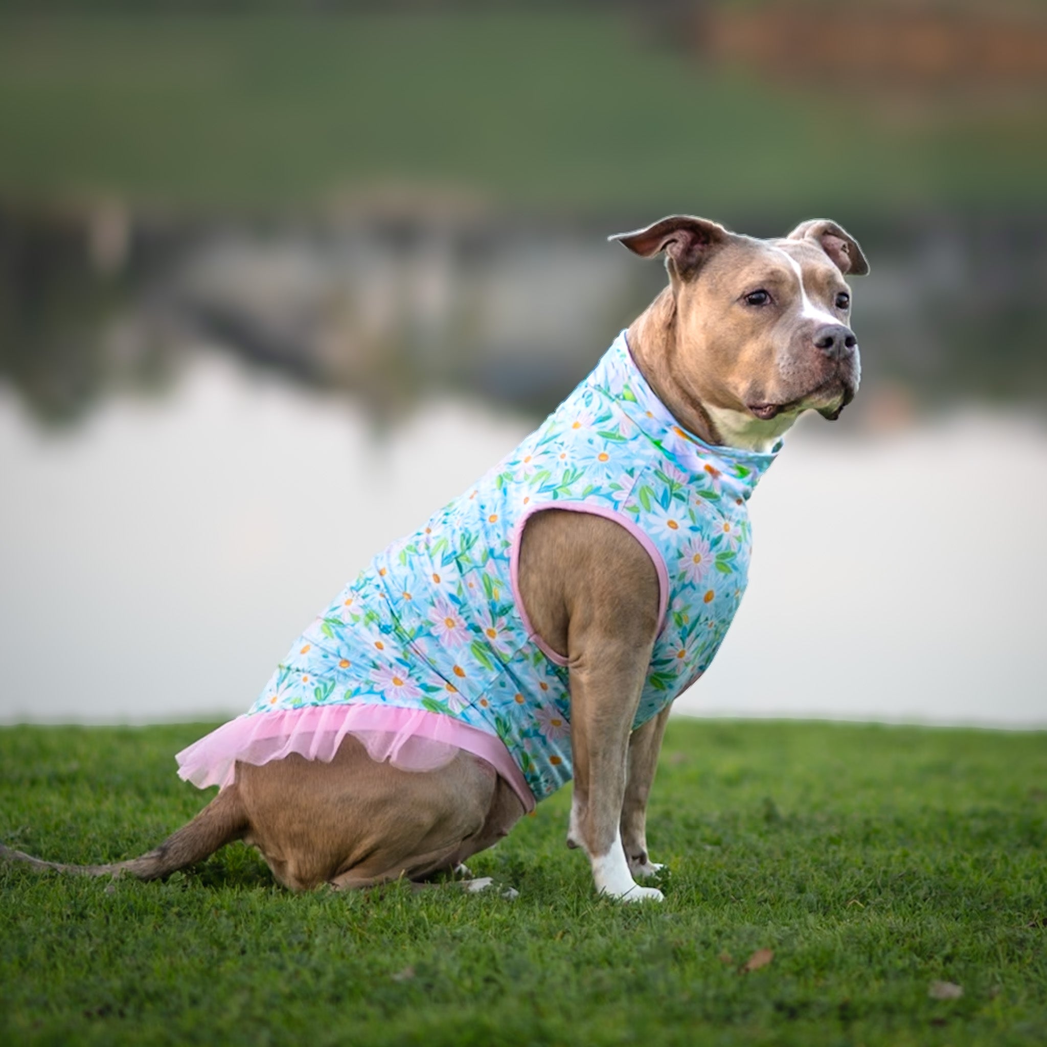 *Pre-order* Springtime Snuggle Blooms TUTU