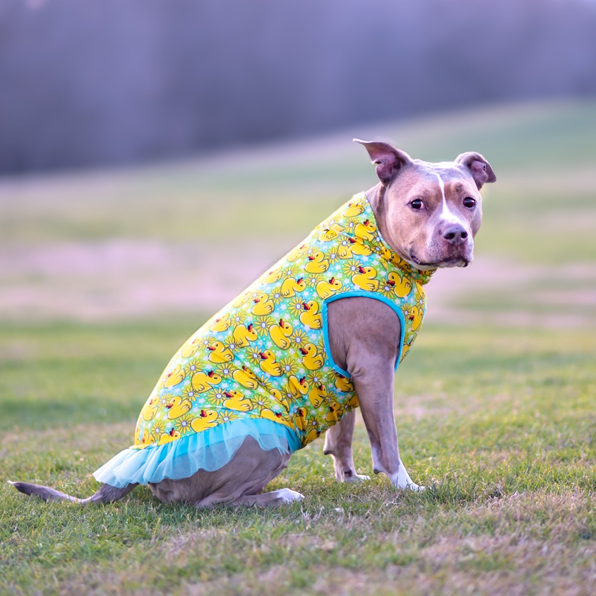 Totally Quacktastic TUTU