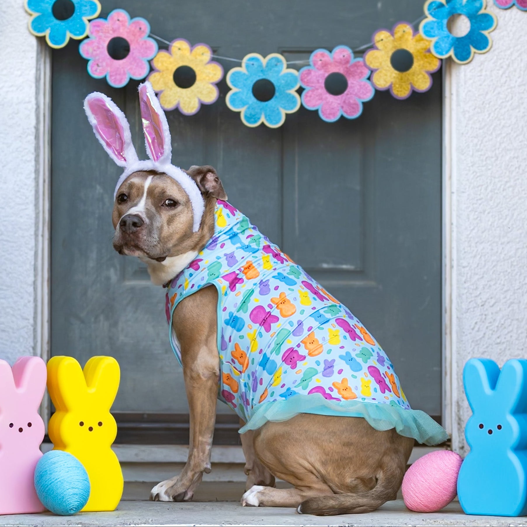 *Pre-order* Peeps & Treats TUTU