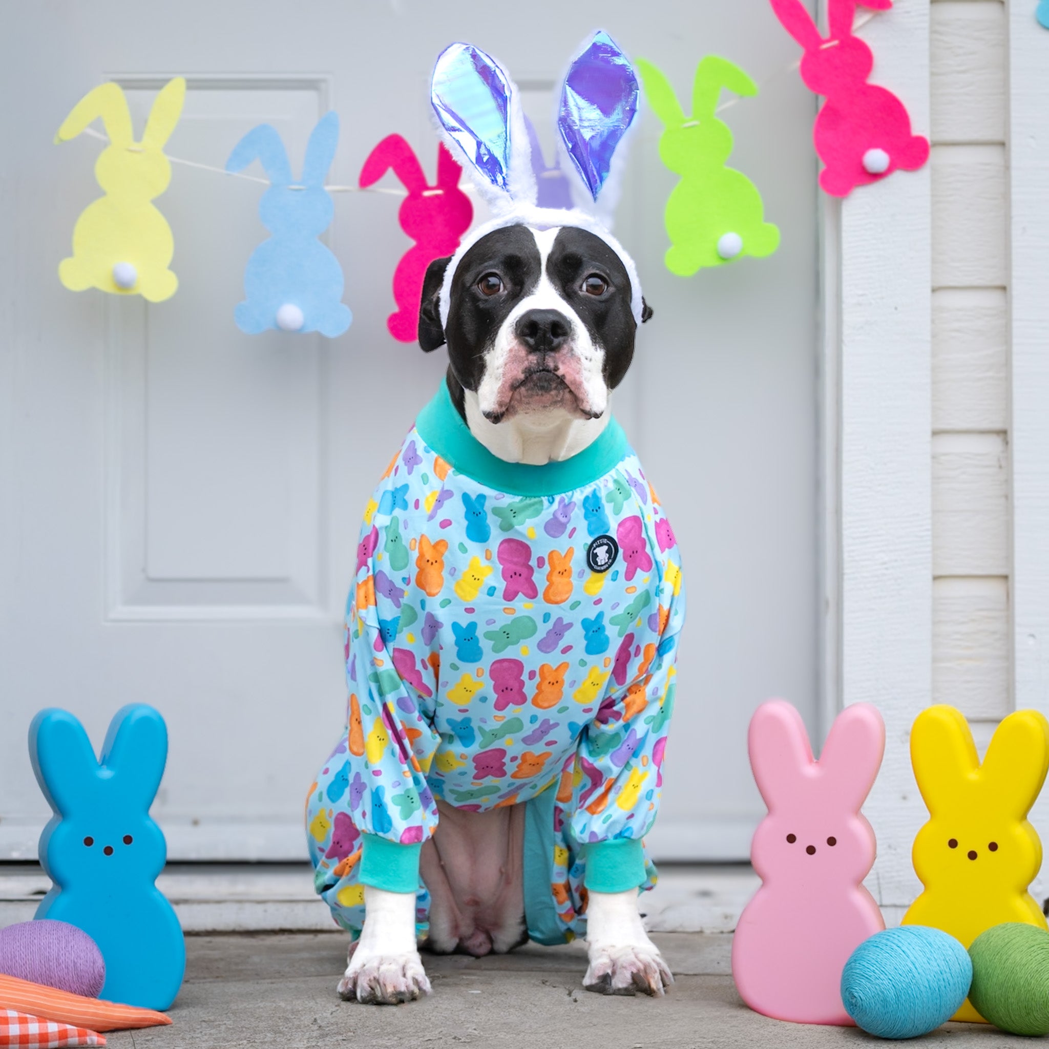*Pre-order* Peeps & Treats Pitbull Pajamas