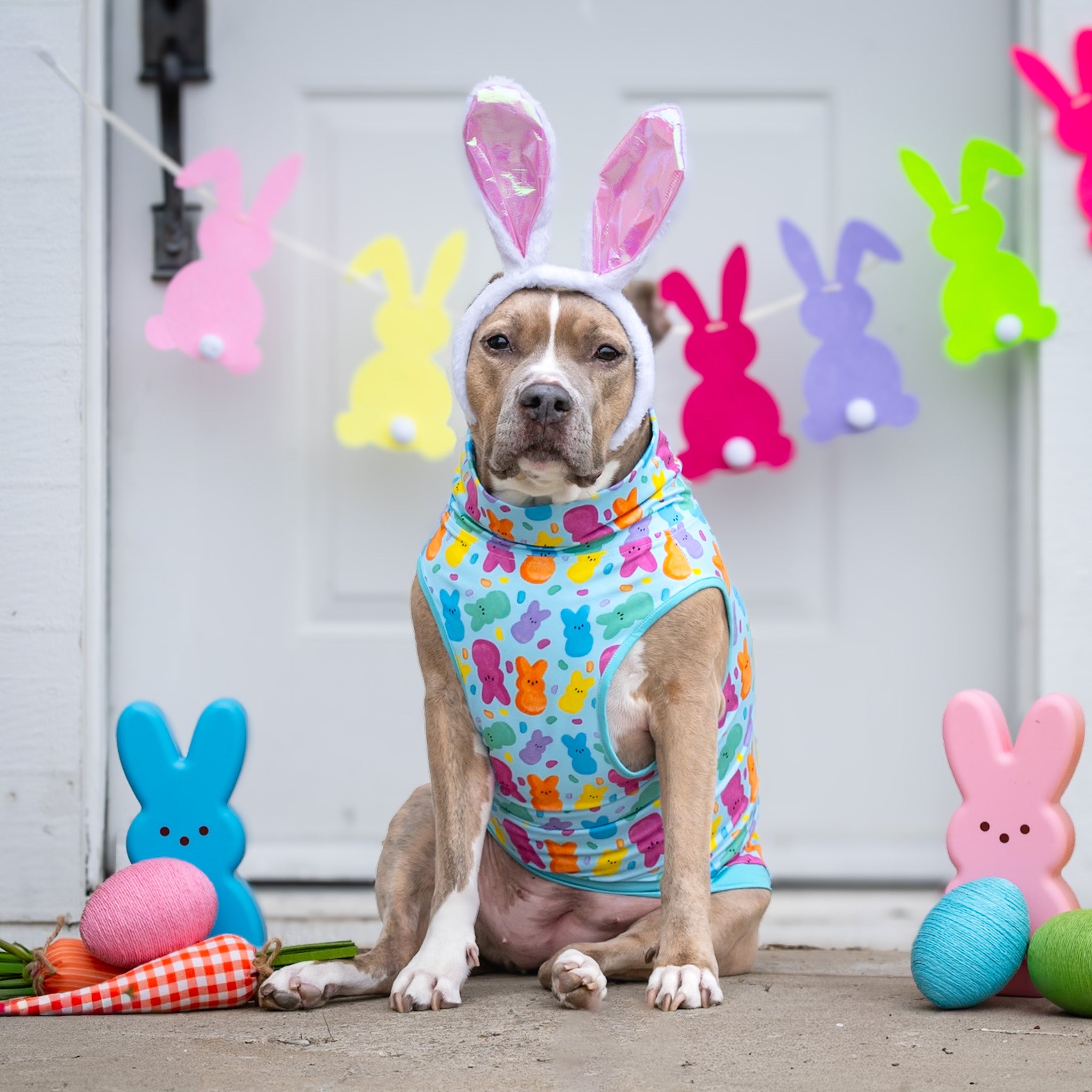 *Pre-order* Peeps & Treats Muscle Tee