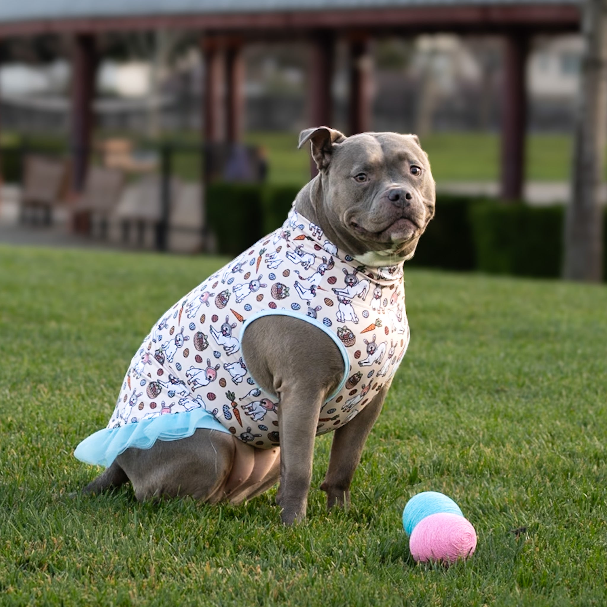 *Pre-order* Pittie Cottontail TUTU