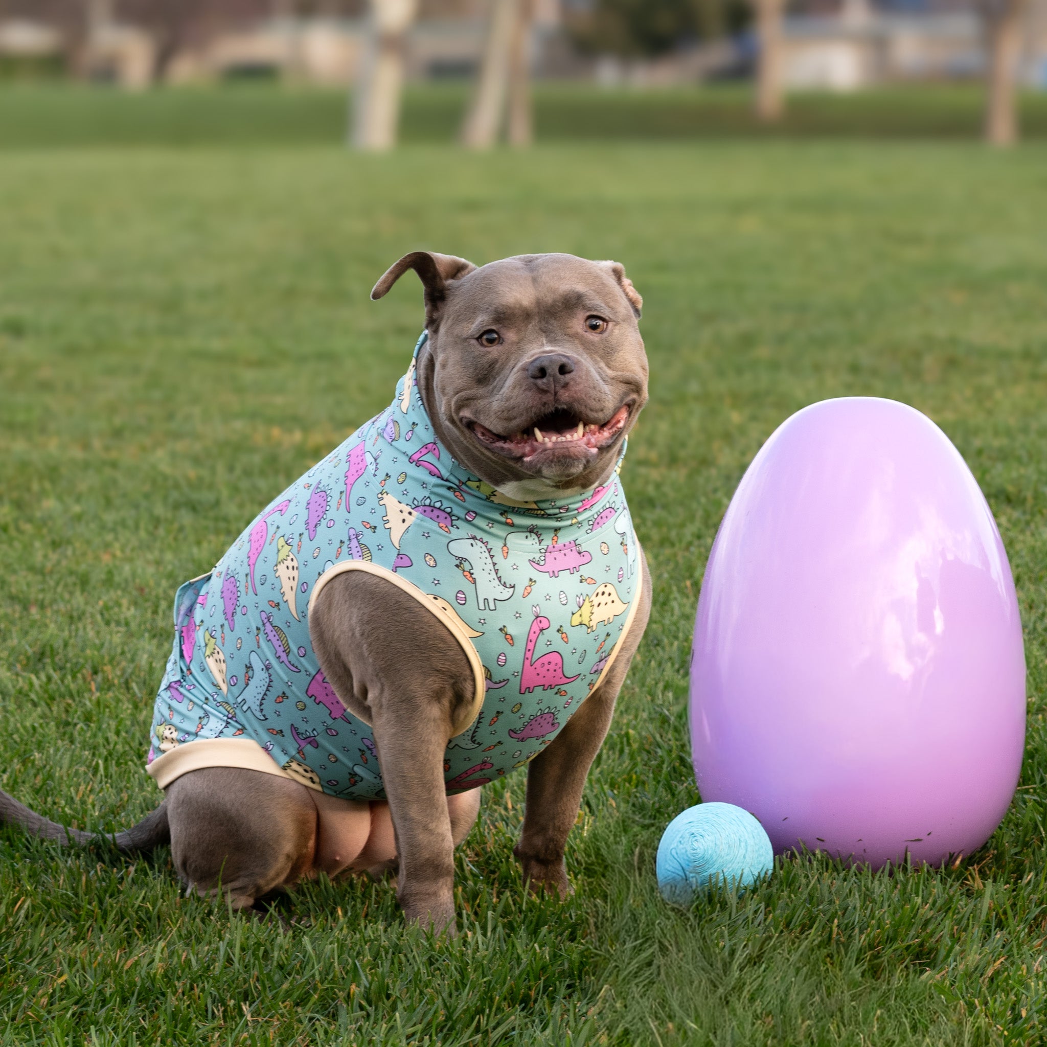 *Pre-order* StEGGosaurus Rex Muscle Tee