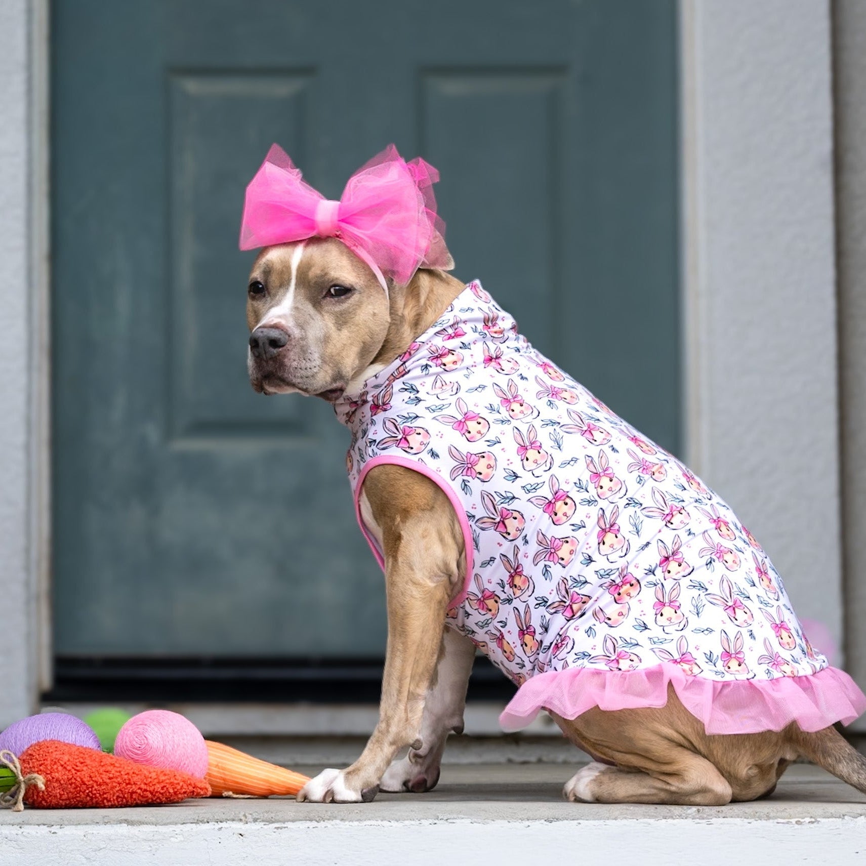 *Pre-order* Bunny Bow Bliss TUTU