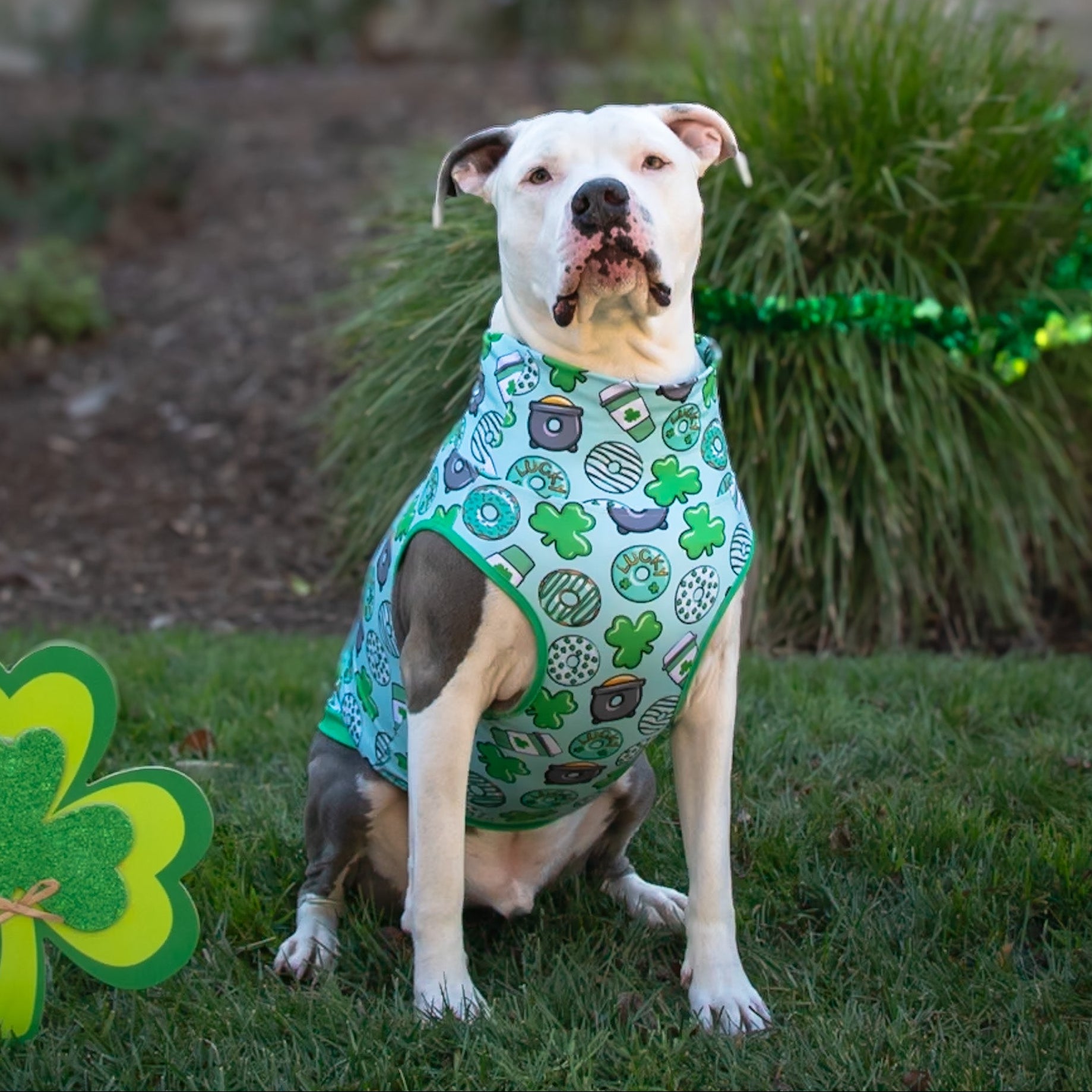 Lick of the Irish Muscle Tee