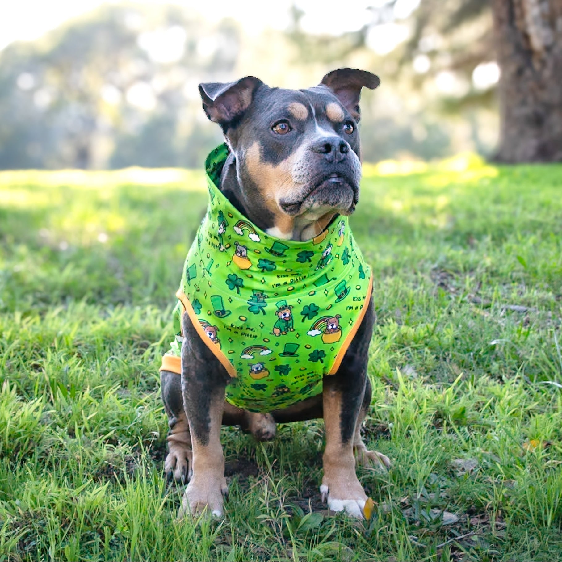 Pitties Go Bragh Muscle Tee