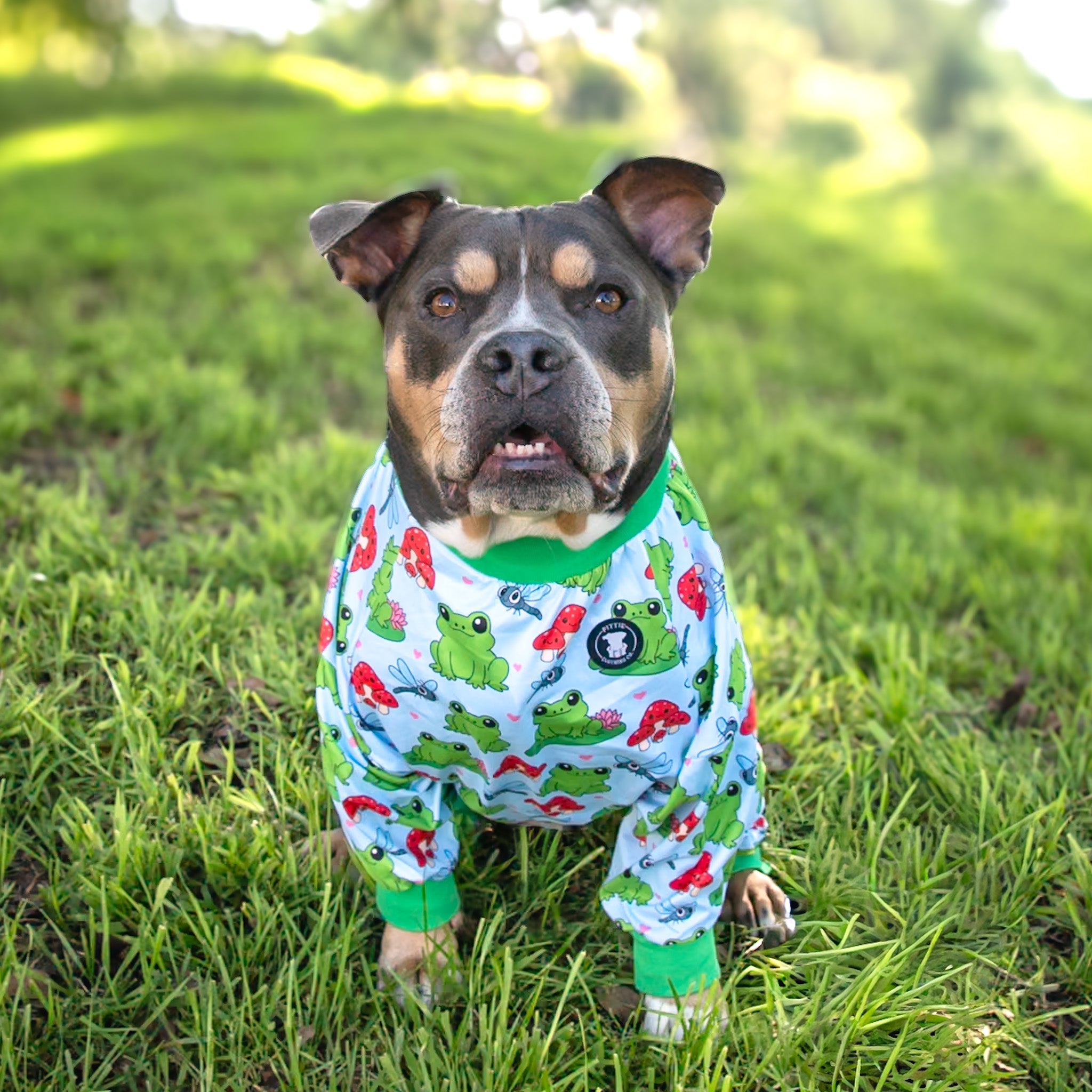 Totally Froggin’ Cute Pitbull Pajamas