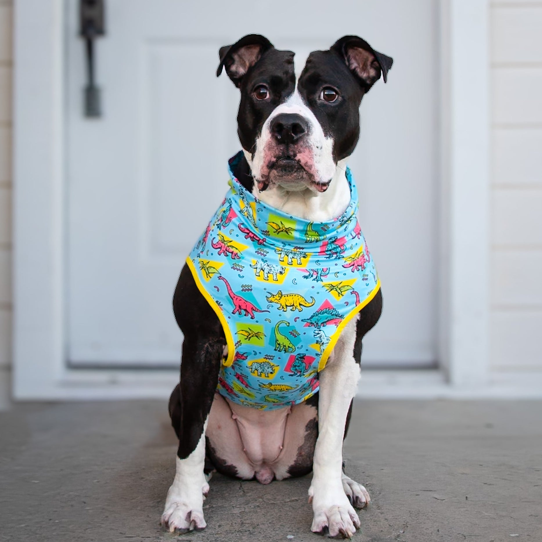 Retro Dino-Mite Muscle Tee