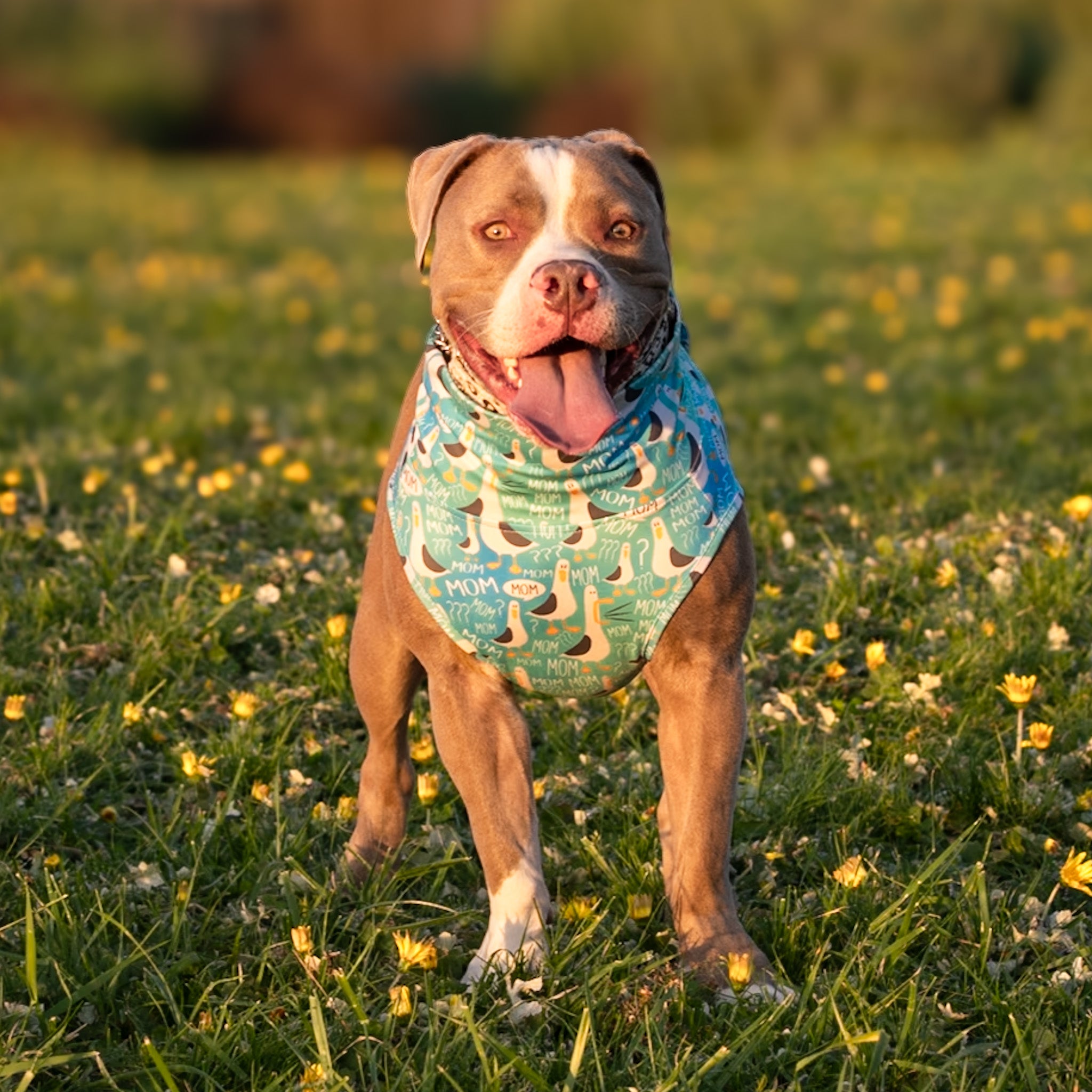 Seagull MOM Squad - Teal Muscle Tee