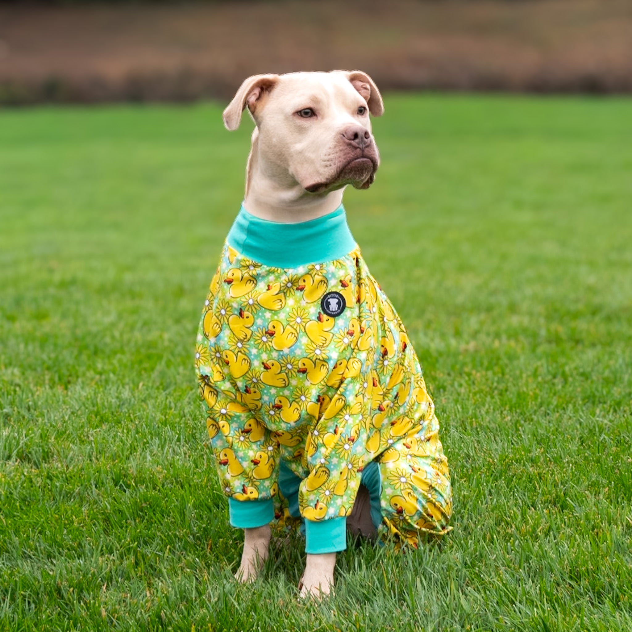 Totally Quacktastic Pitbull Pajamas