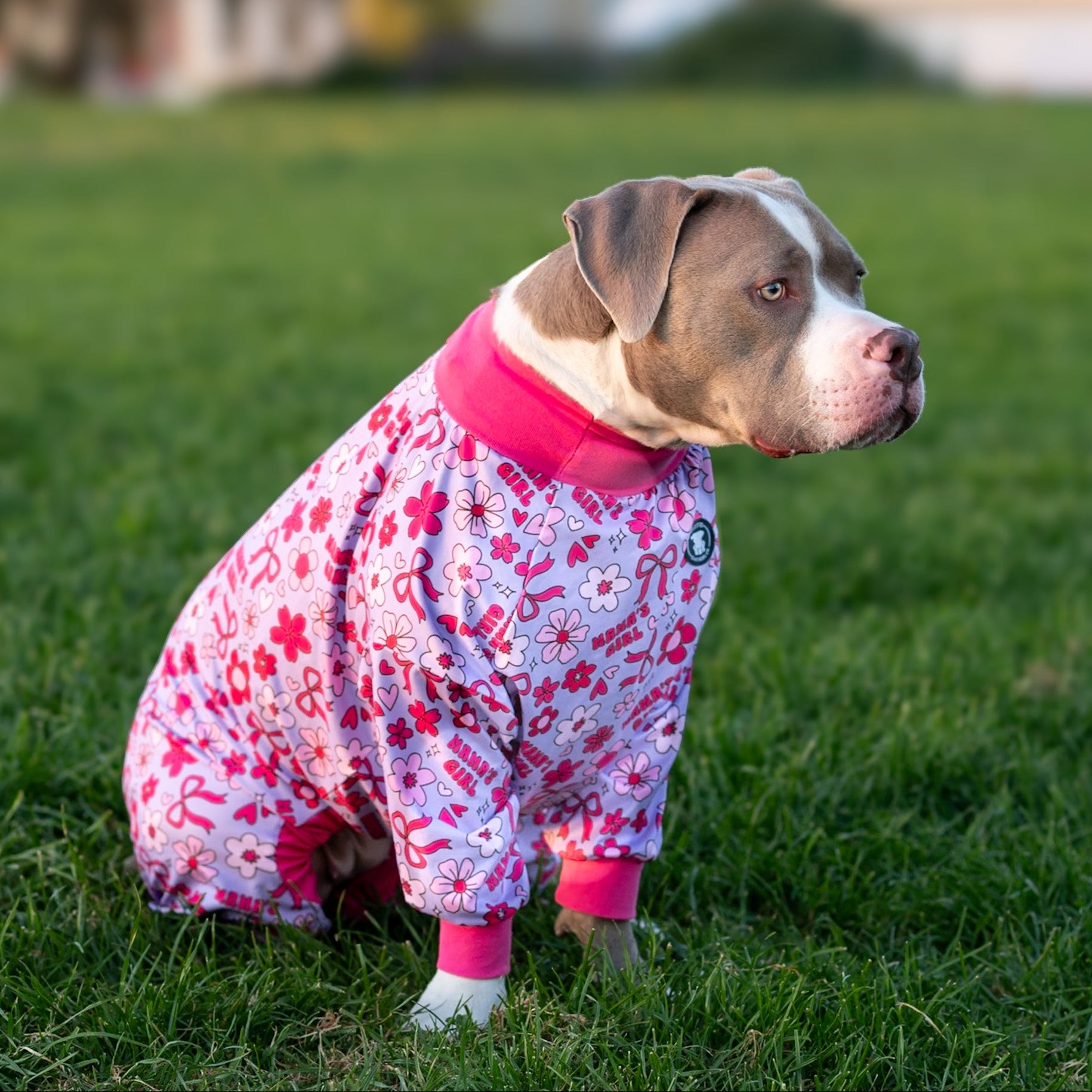 *PRE-ORDER* Mama's Girl Pitbull Pajamas