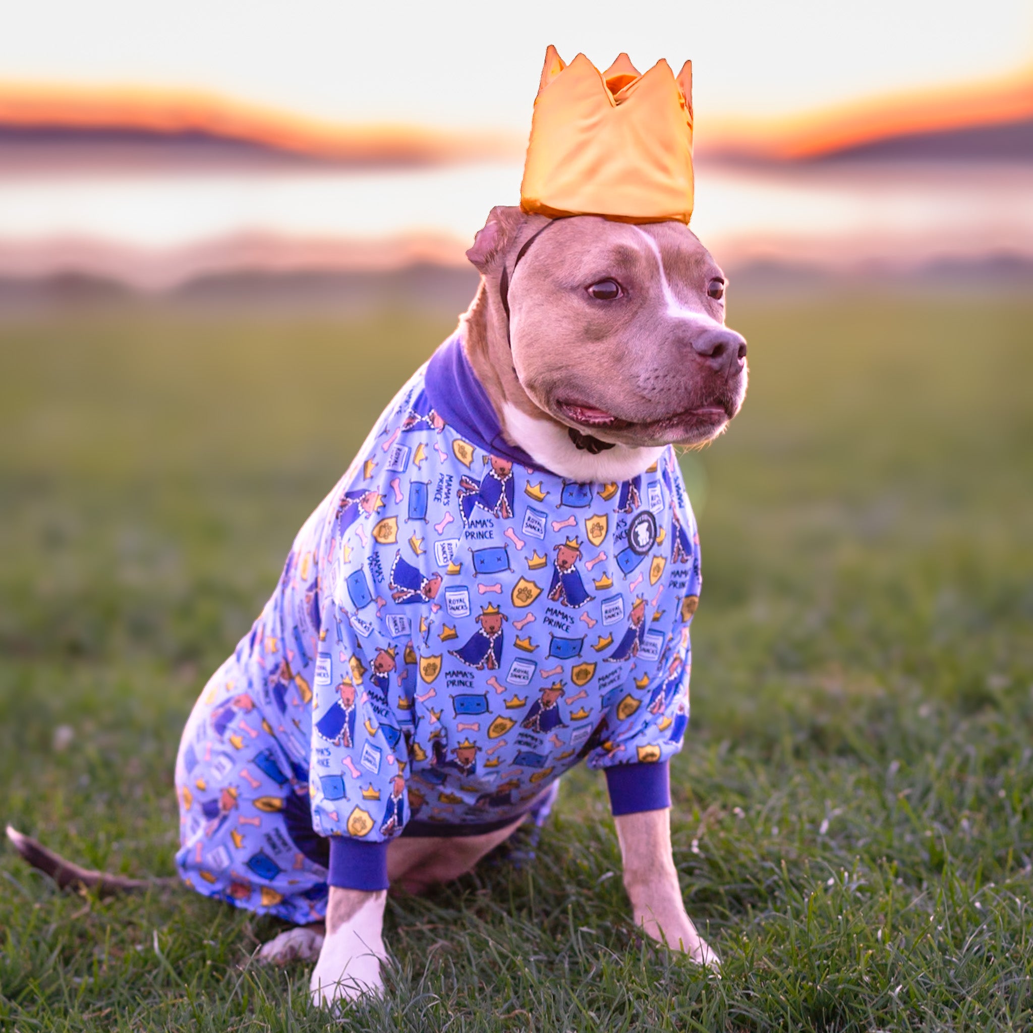 *PRE-ORDER* Mama's Pit Charming Pajamas