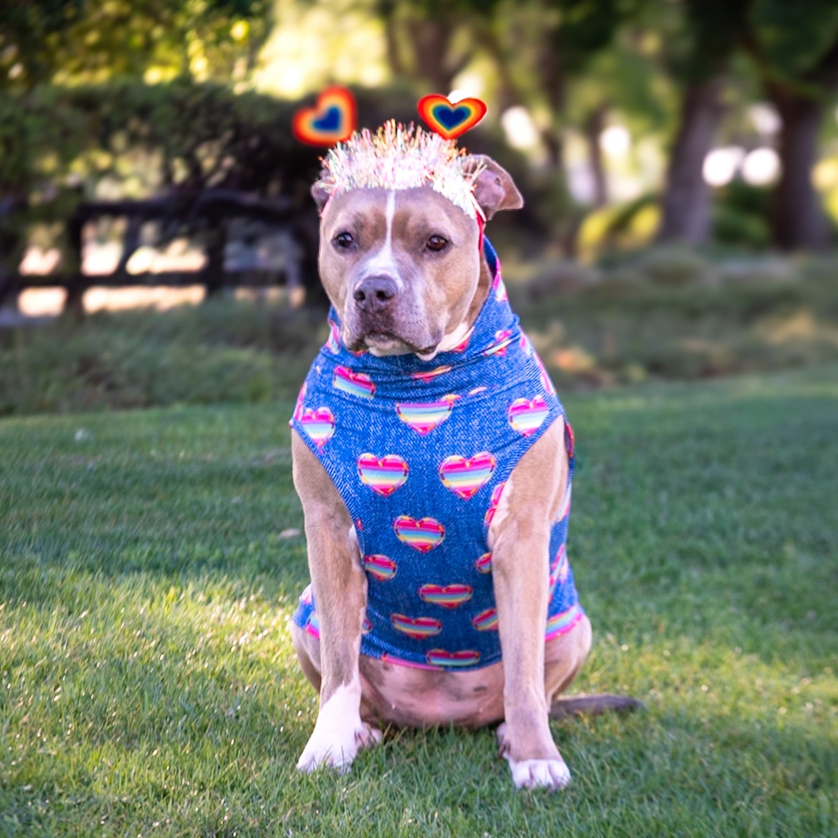 *PRE-ORDER* Heart of Pride Muscle Tee