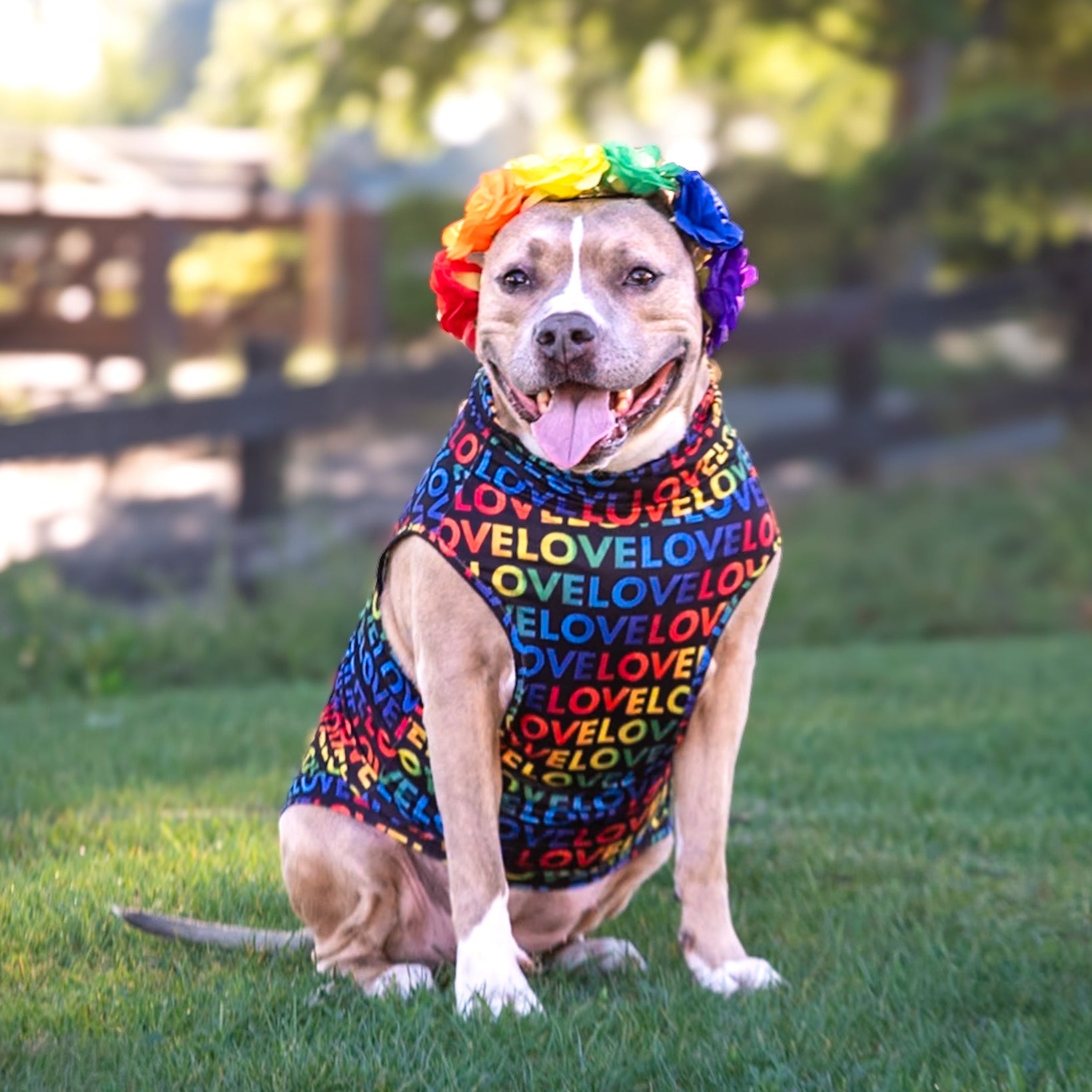 *PRE-ORDER* LOVE in Color Muscle Tee