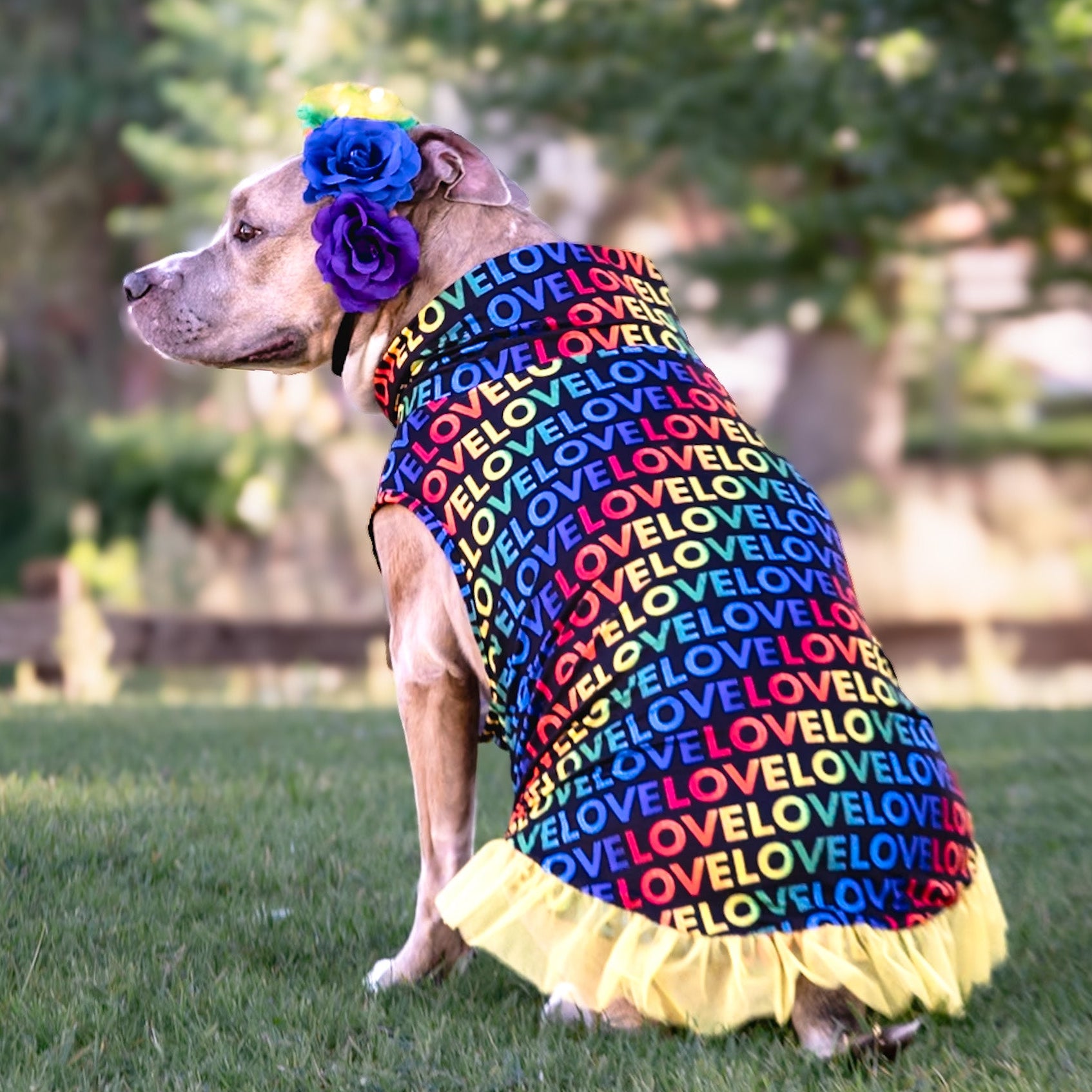 *PRE-ORDER* LOVE in Color TUTU