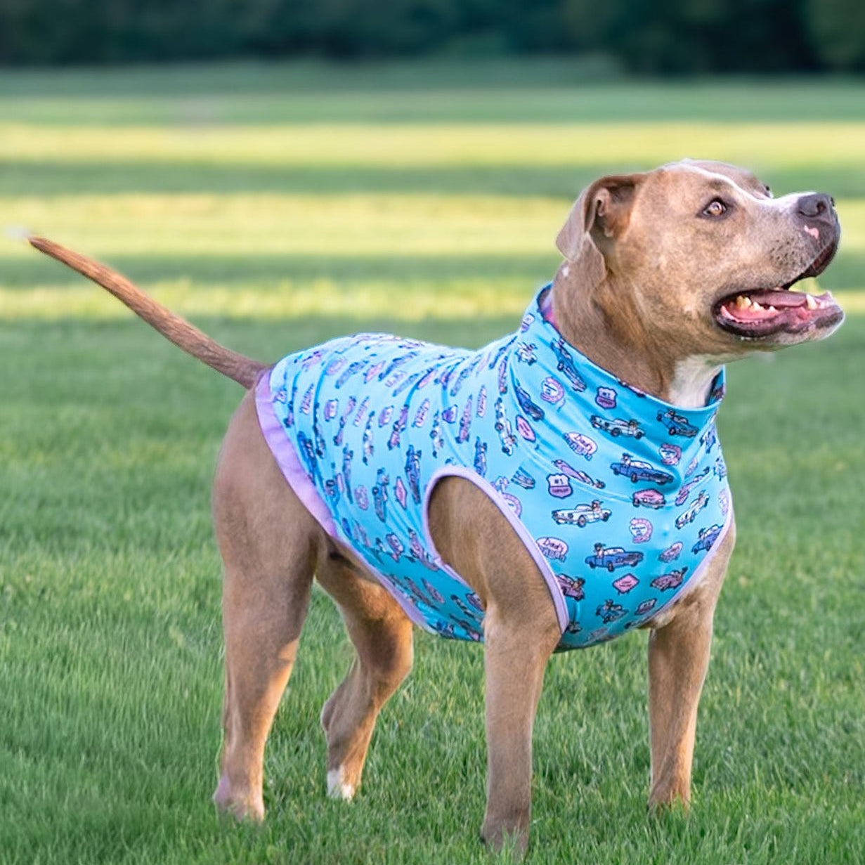 *PRE-ORDER* Cruisin' with Pops - Blue Muscle Tee