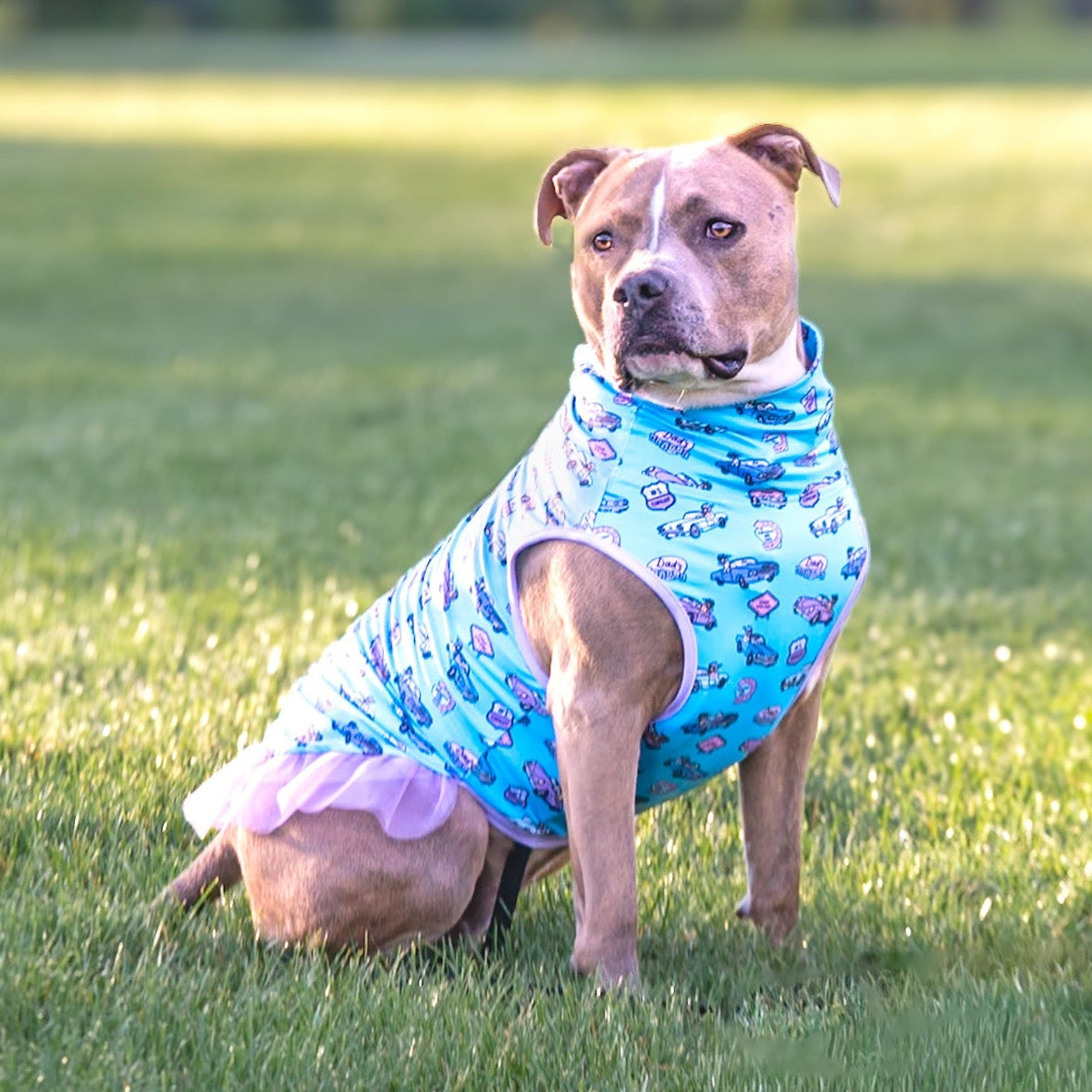 *PRE-ORDER* Cruisin' with Pops - Blue TUTU