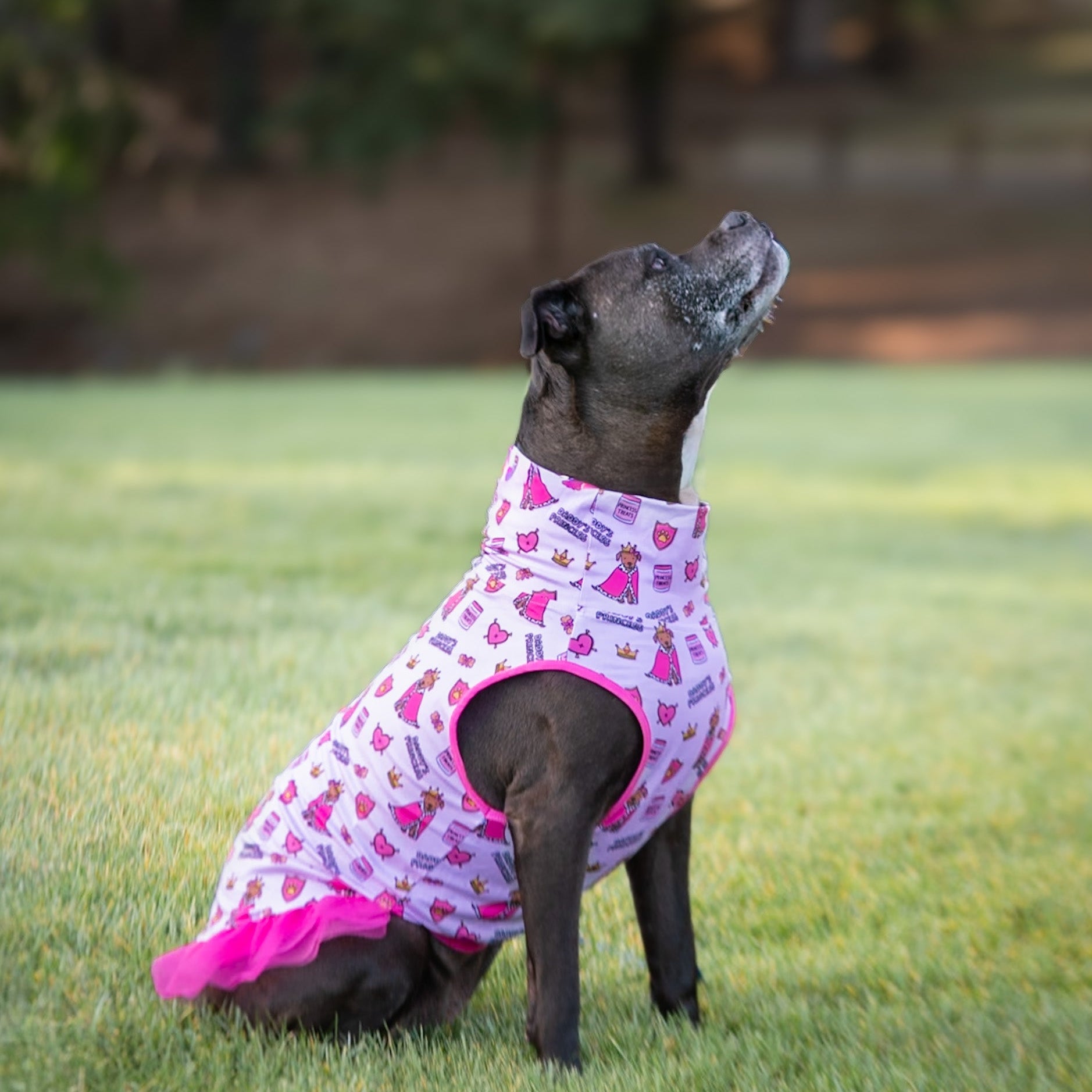 *PRE-ORDER* Daddy's Crown Princess TUTU