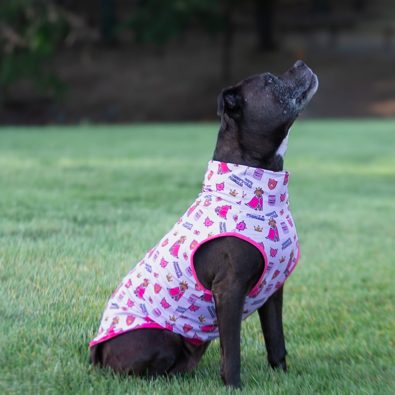 *PRE-ORDER* Daddy's Crown Princess Muscle Tee