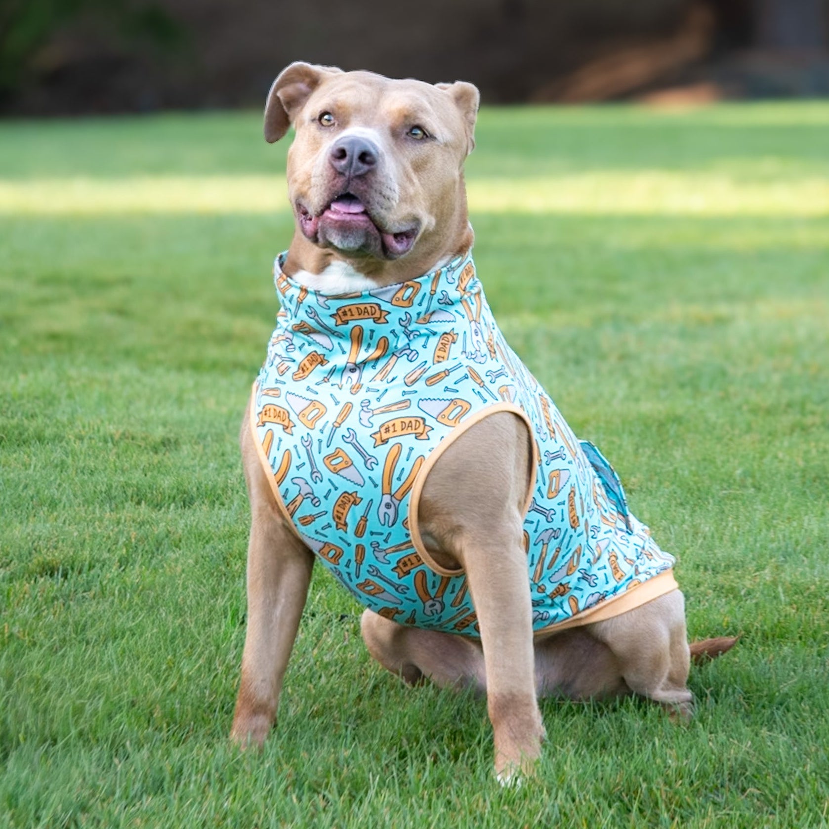 *PRE-ORDER* #1 DAD Muscle Tee