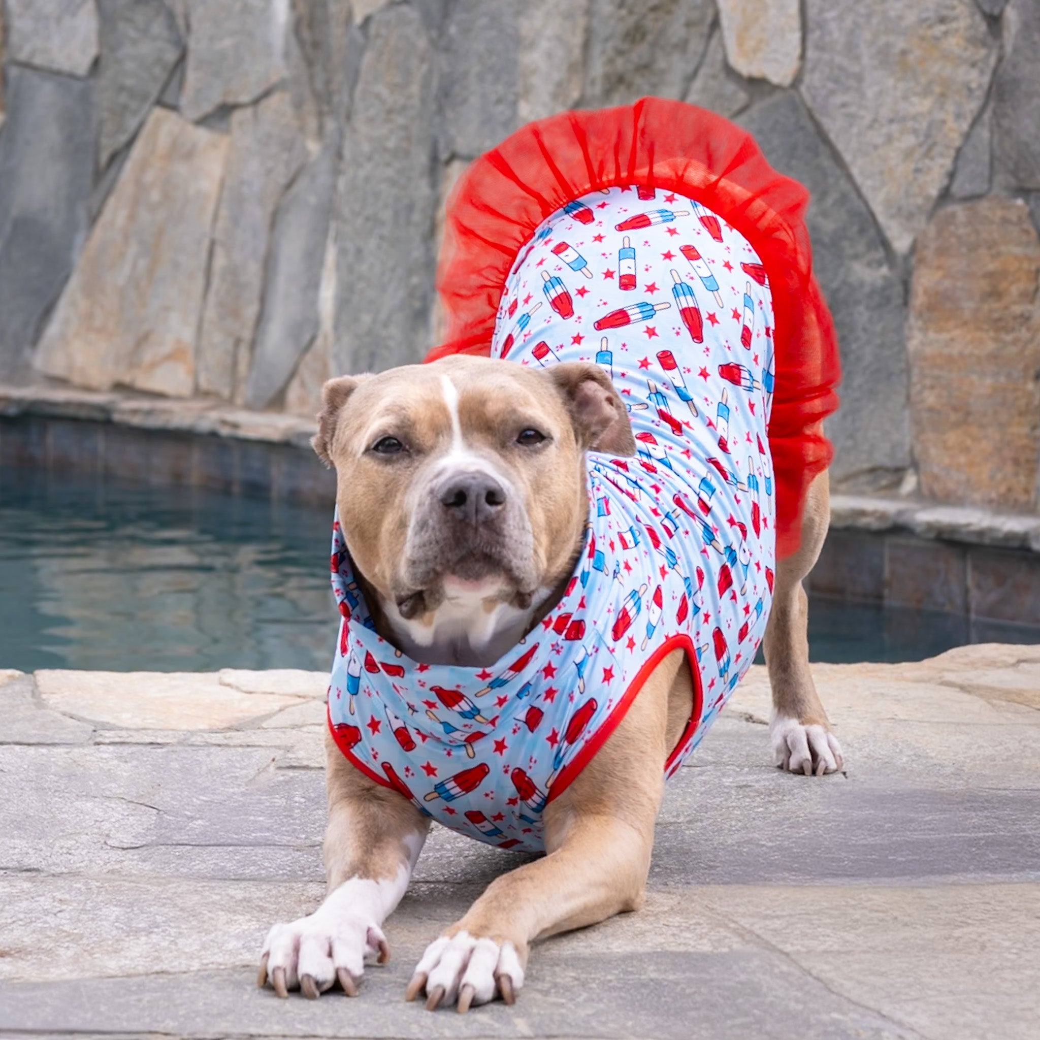 *PRE-ORDER* Bomb Pittie Pops TUTU