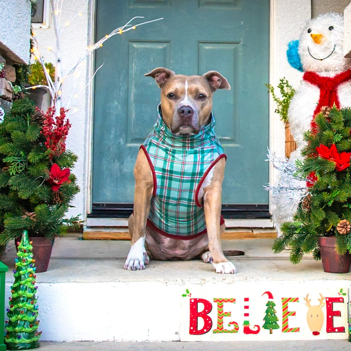 Christmas Plaid Muscle Tee