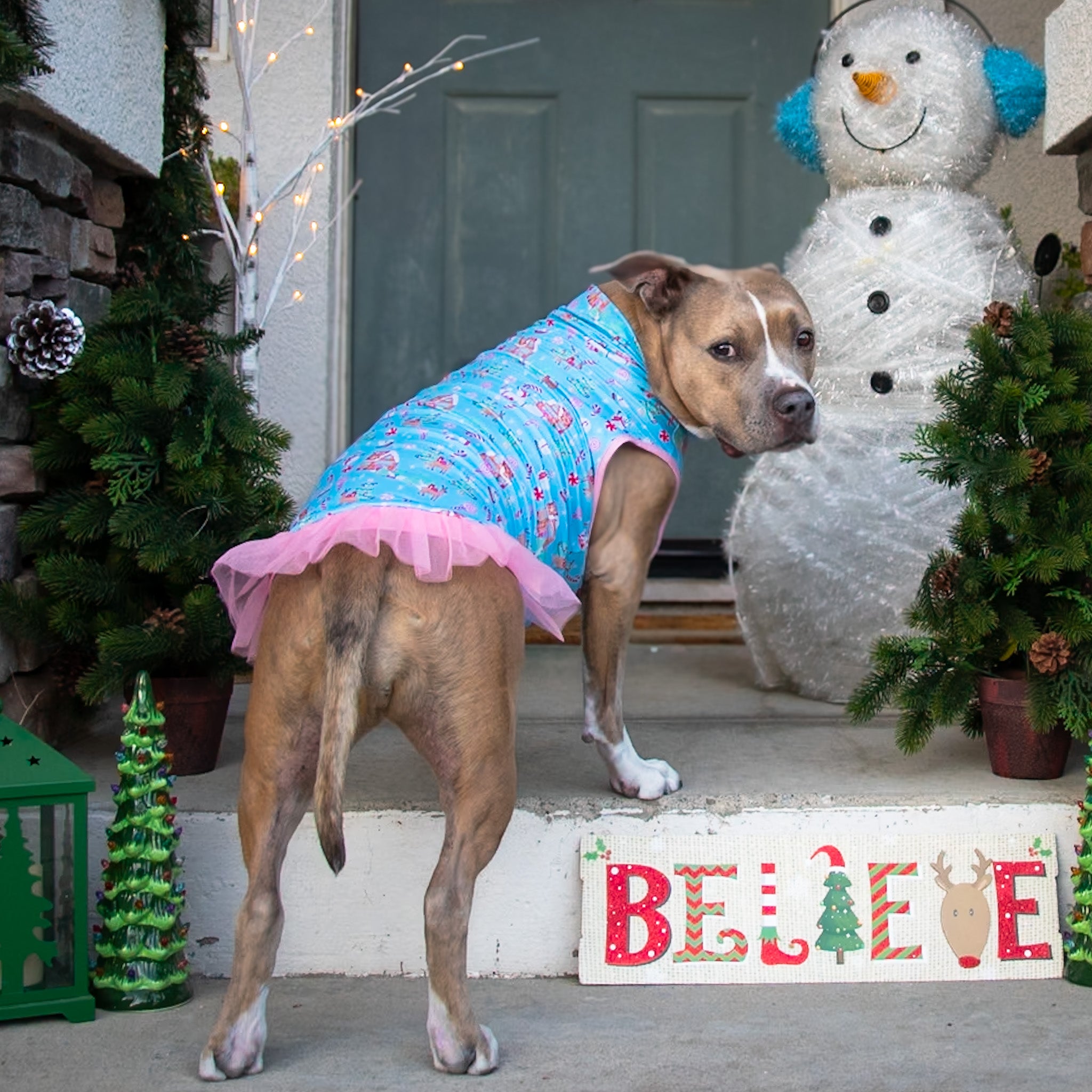 Winter Wonderland TUTU