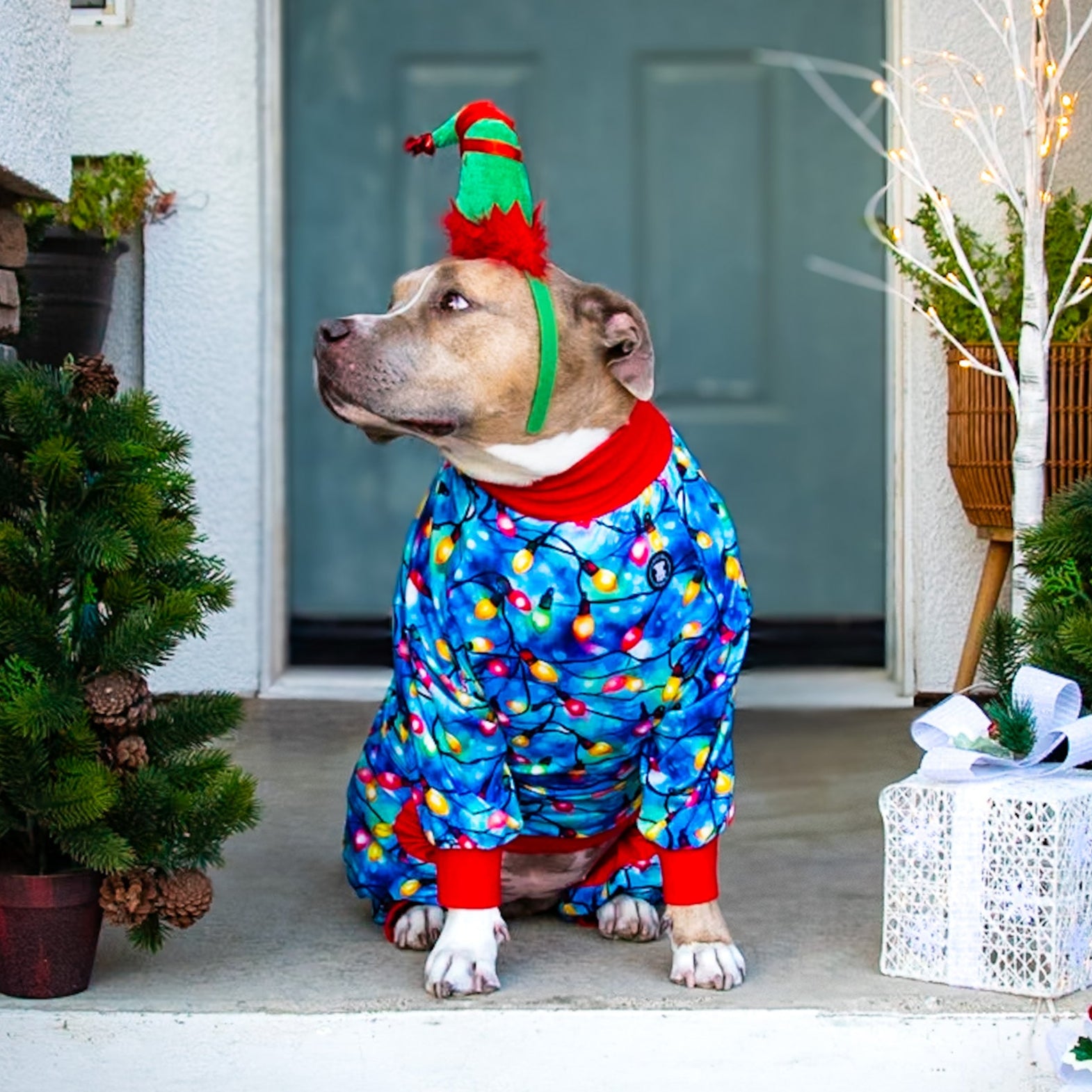 Howliday Lights Pitbull Pajamas