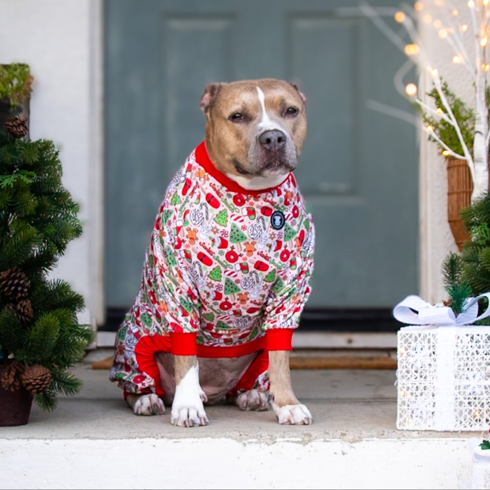 Santa's Snacks Pitbull Pajamas