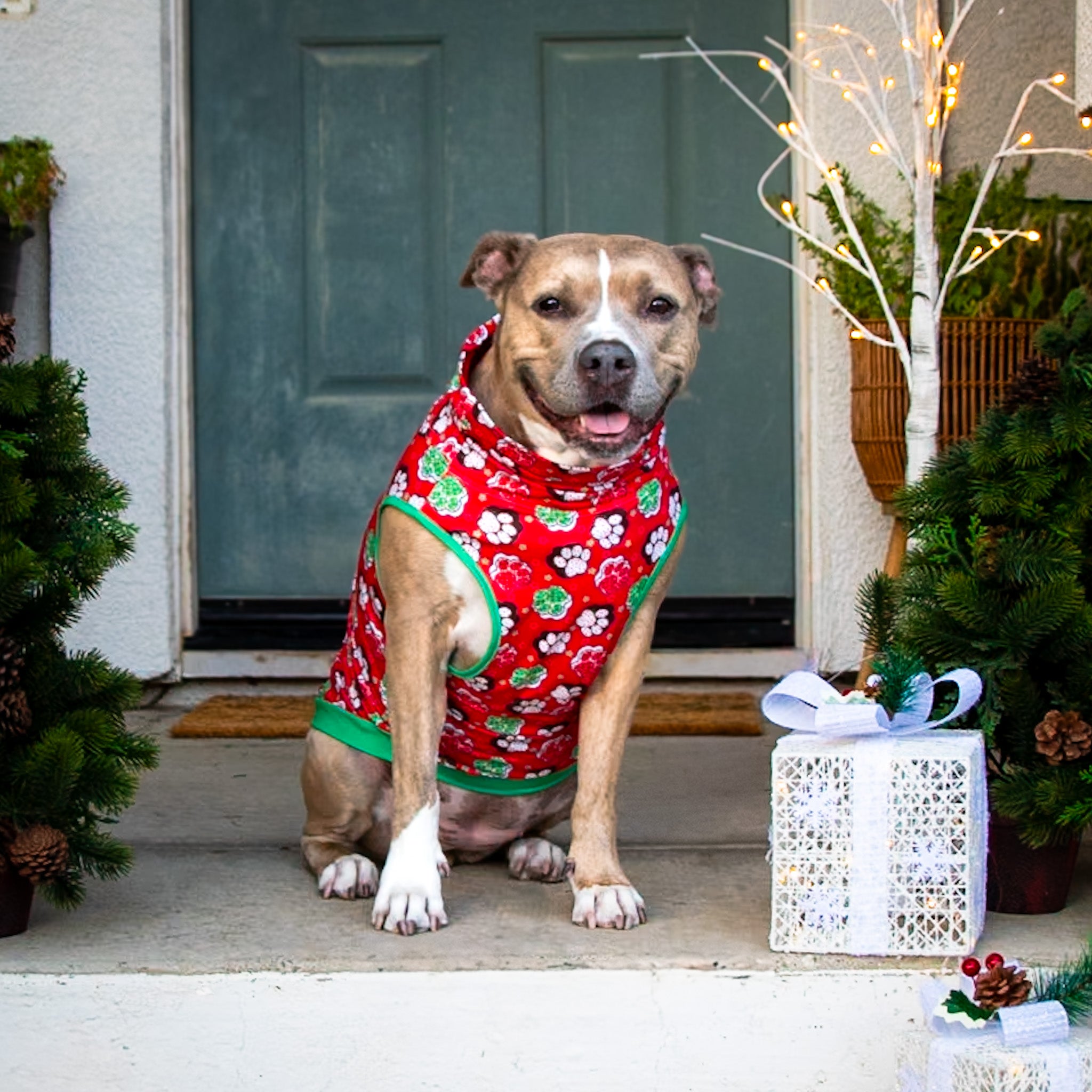 Santa Paws Muscle Tee