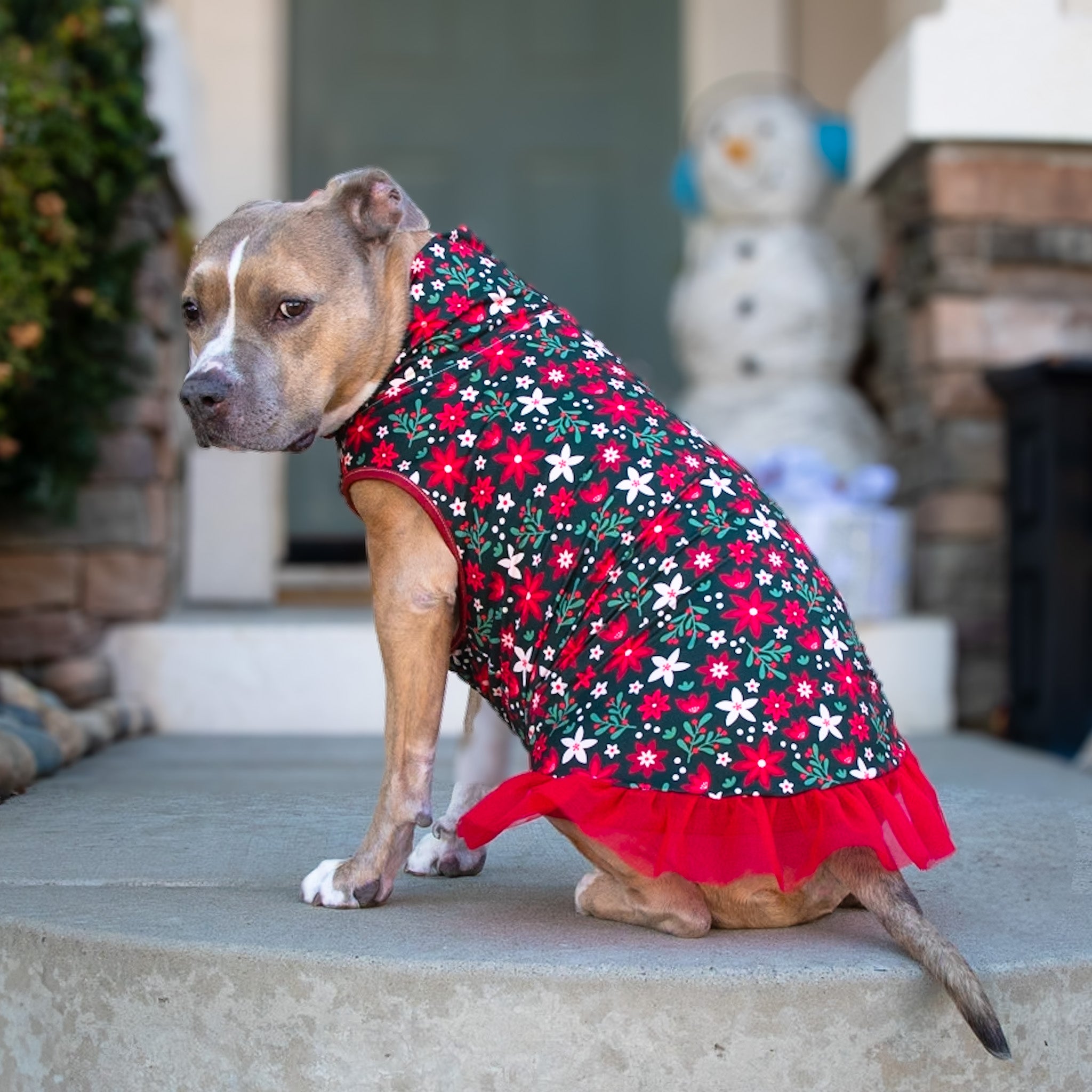 Paw-liday Petals TUTU