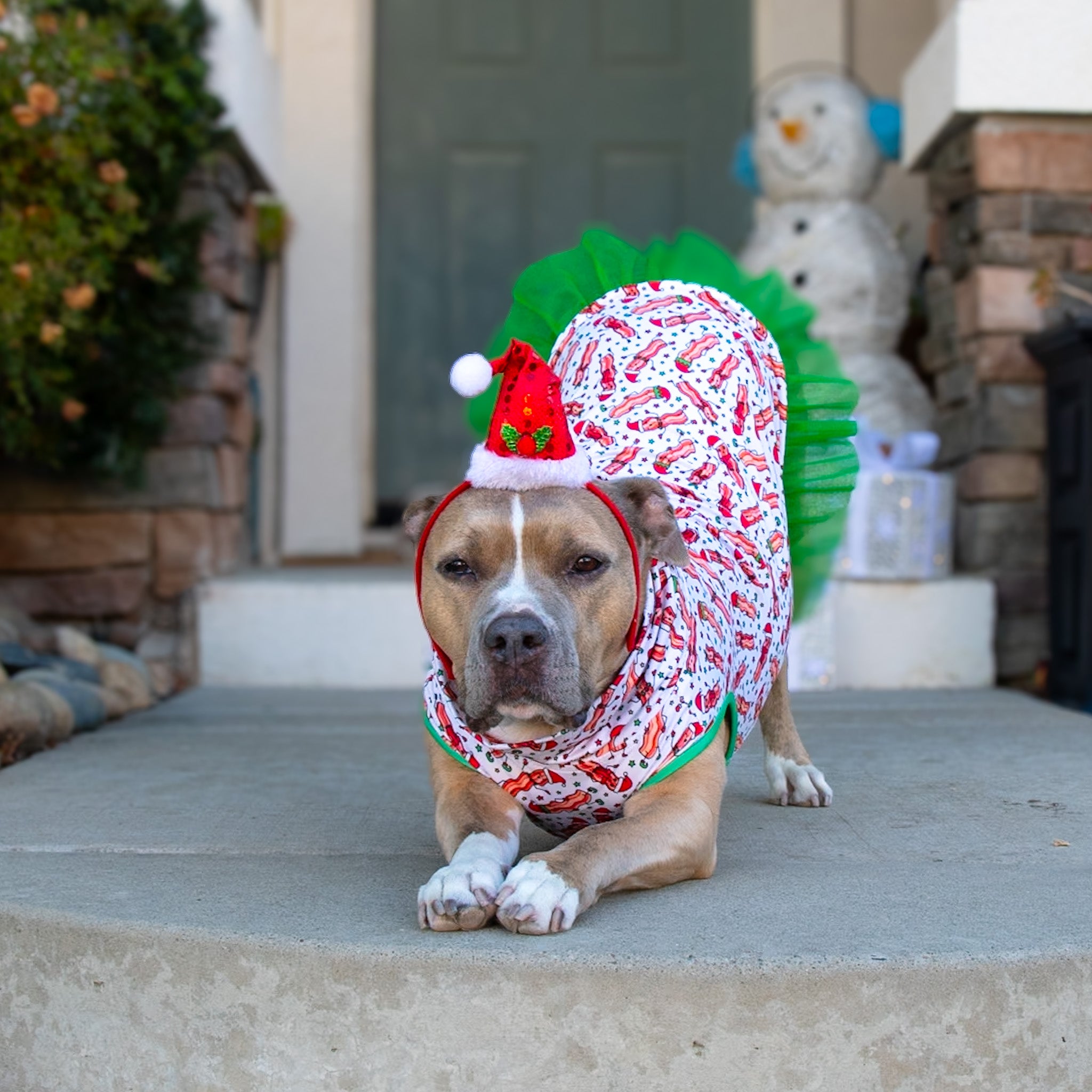 Bakin’ Spirits Bright TUTU