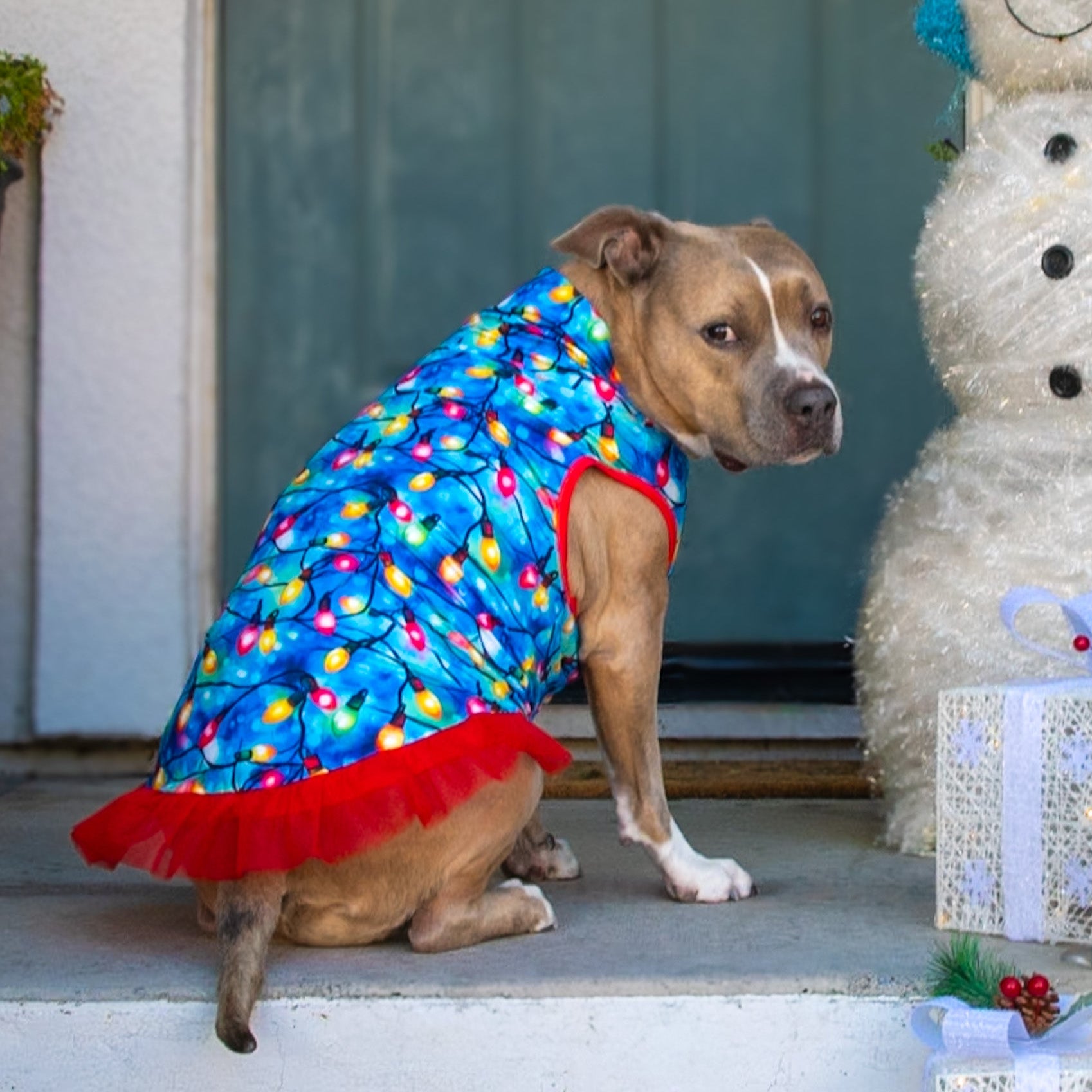 Howliday Lights TUTU