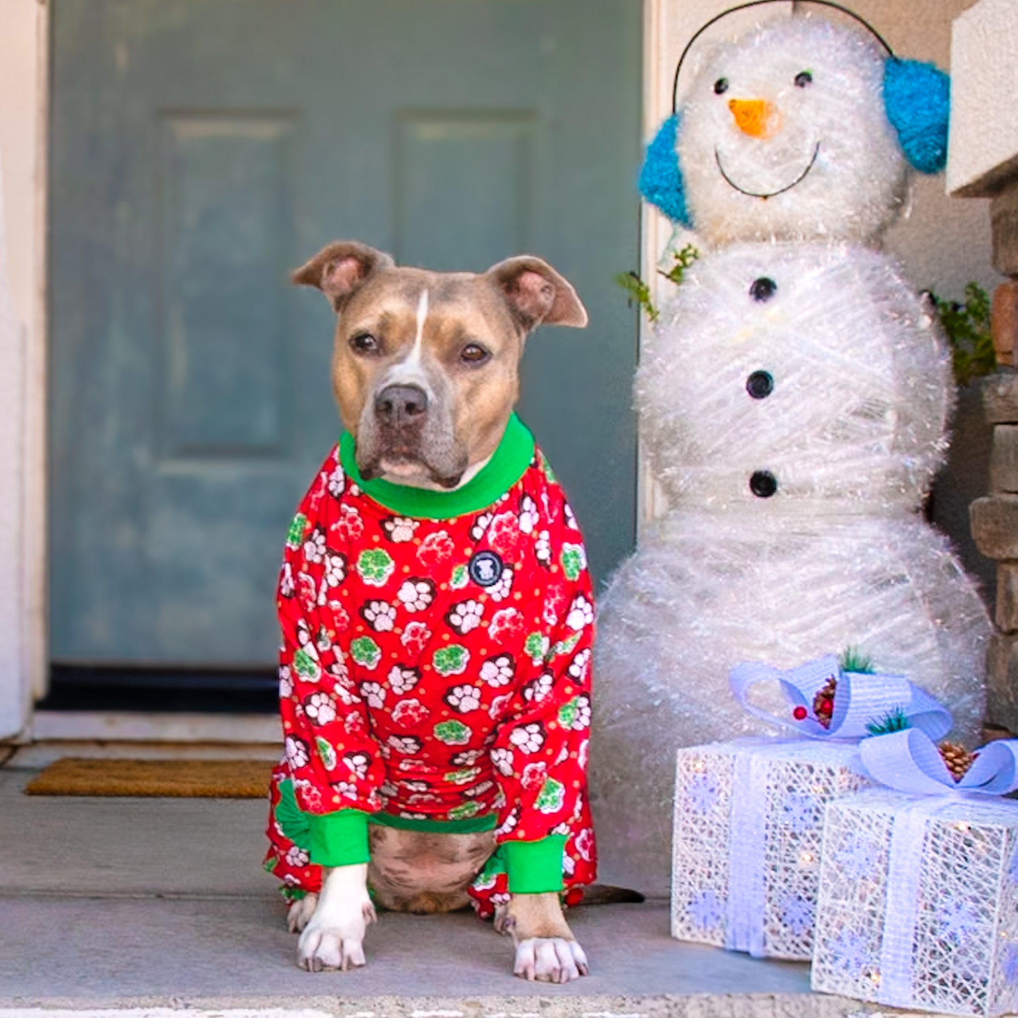 Santa Paws Pitbull Pajamas