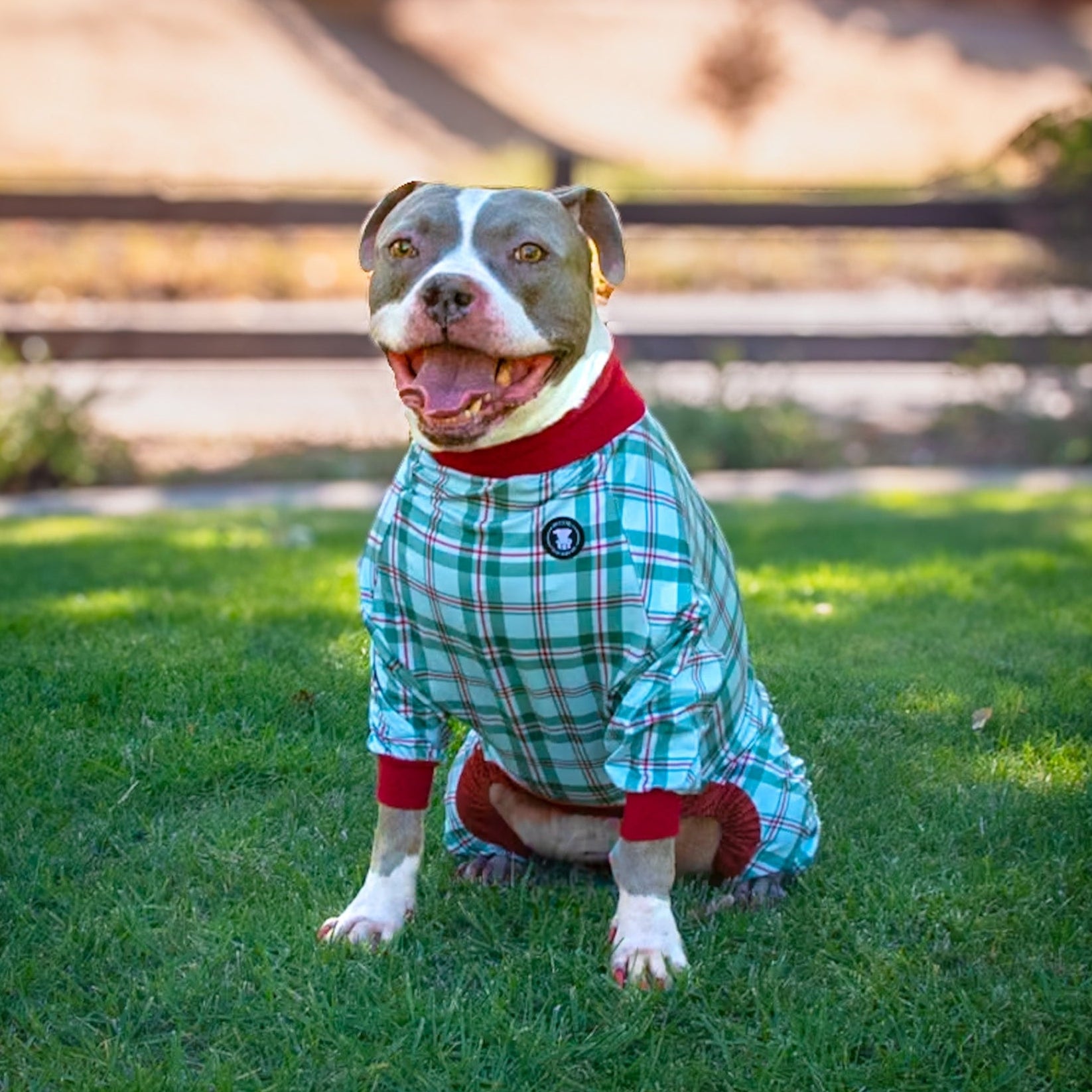 Christmas Plaid Pitbull Pajamas