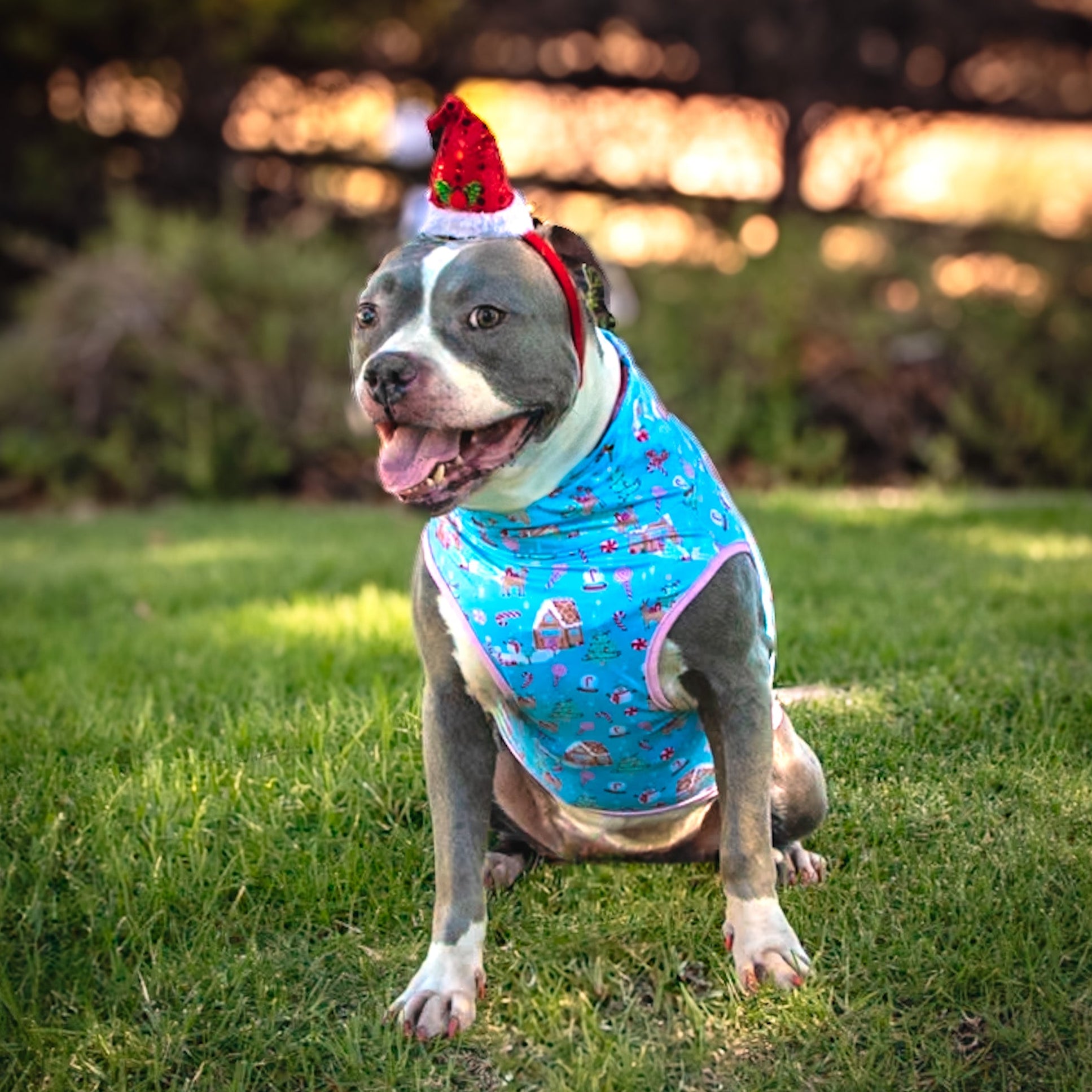 Winter Wonderland Muscle Tee