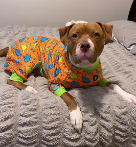 Pitbull clothing for humans cheap