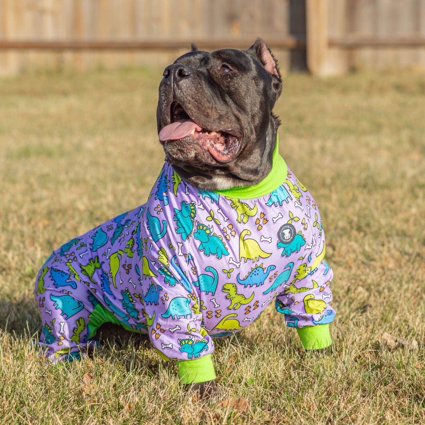 Purple 'Lazy Bones' Pit bull Pajamas