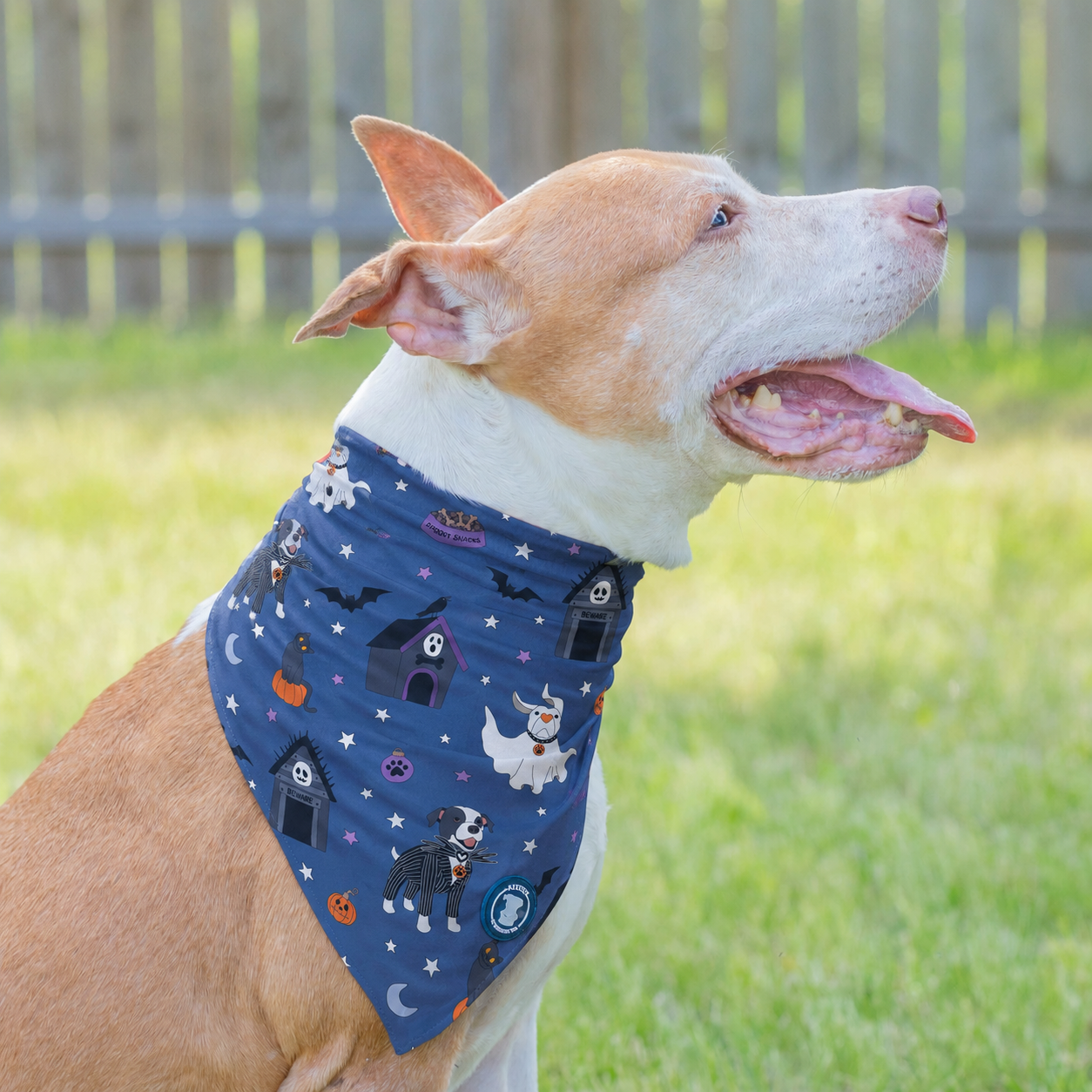 *PRE-ORDER* Nightmare Before Pitmas- Blue Bandana