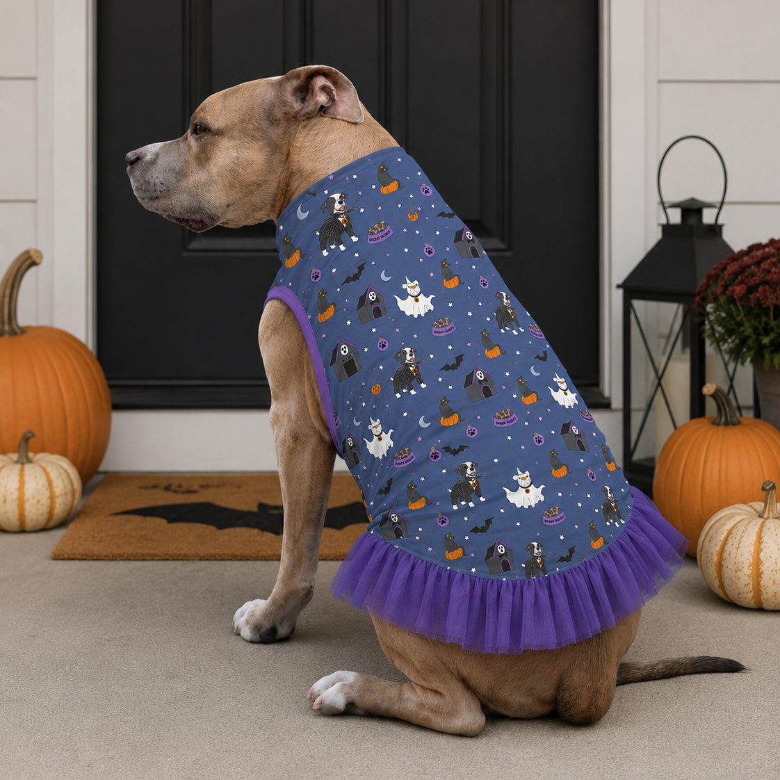 *PRE-ORDER* Nightmare Before Pitmas - Blue TUTU