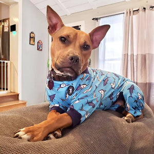 'Smilin' Sharkies' Pit bull Pajamas