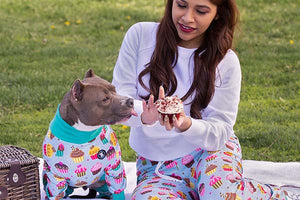Pitbull Dog Wearing Matching Cupcake Pajamas by Pittie Clothing with Owner