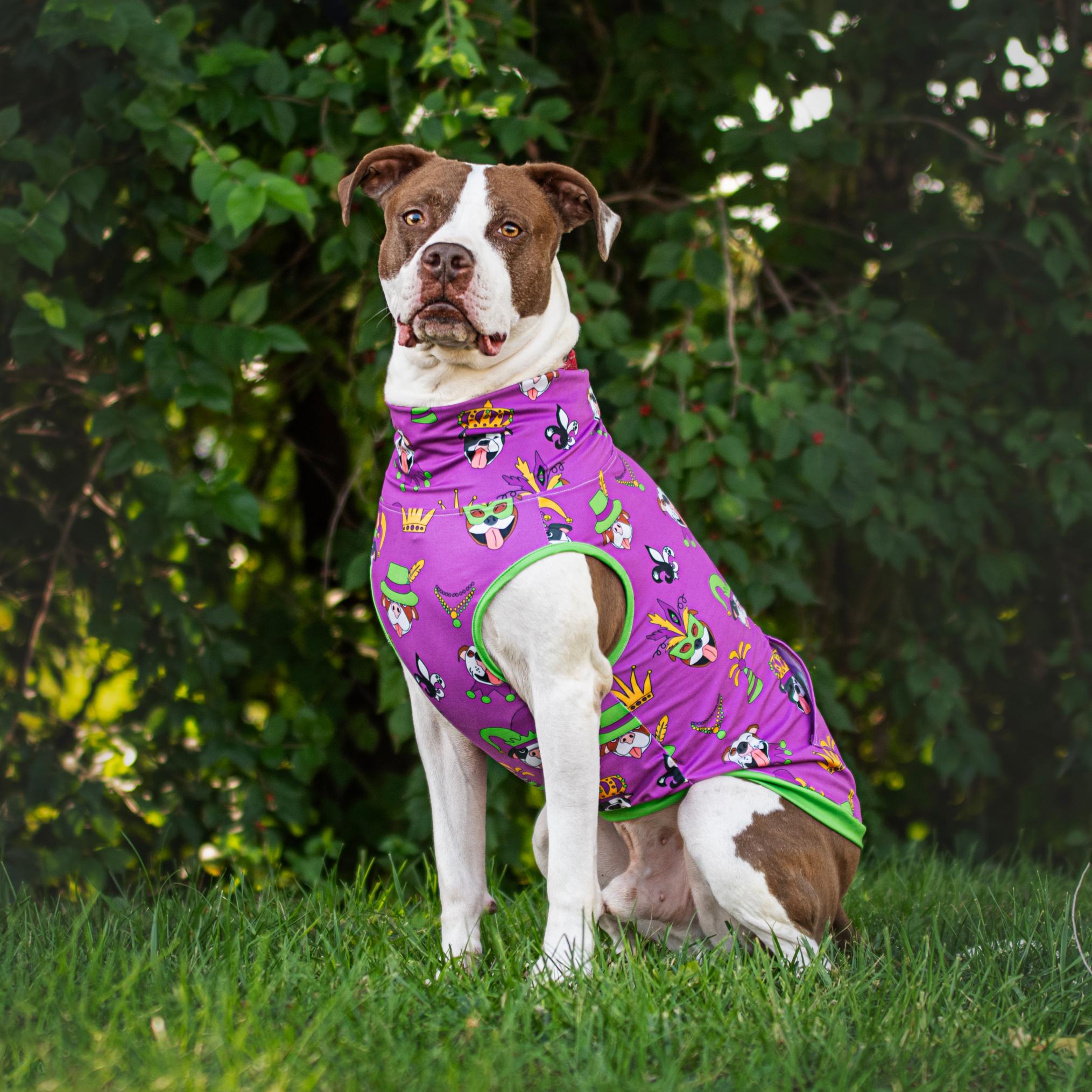 Paw-di Gras Muscle Tee- Purple