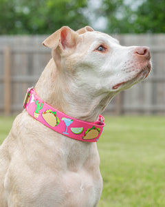 Pink 'Party like a Guac-Star' Collar