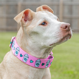 Pink 'Pup Cups' Collar
