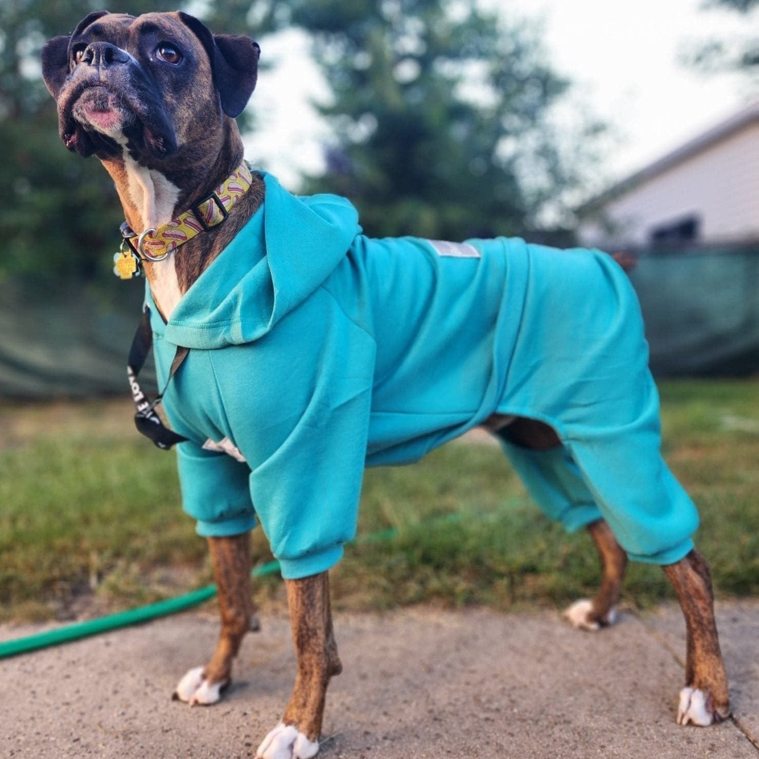 Famous Boxer Sweatsuit 2.0- Teal