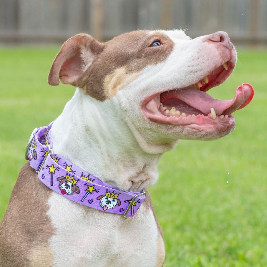 Purple Princess Martingale Collar