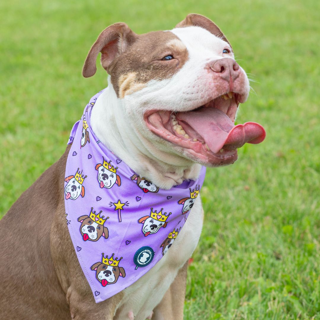 Purple Princess Bandana