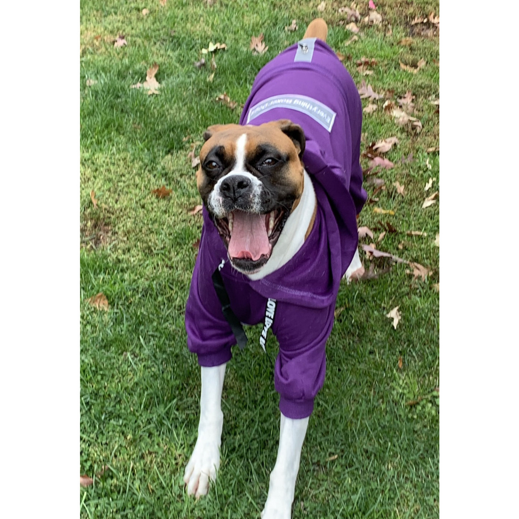 Famous Boxer Sweatsuit 2.0- Purple – Pittie Clothing Co.